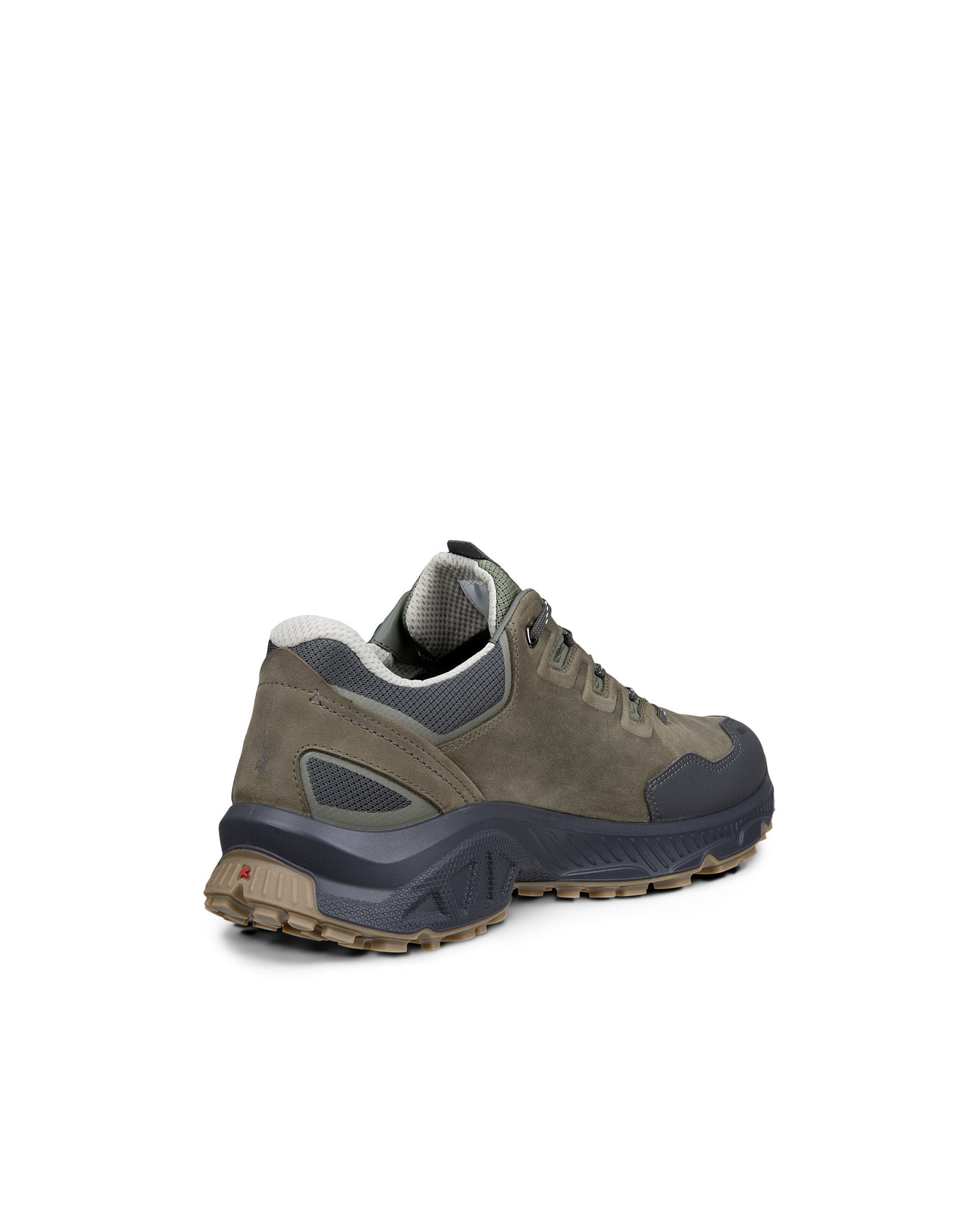 ECCO Receptor XP — Green