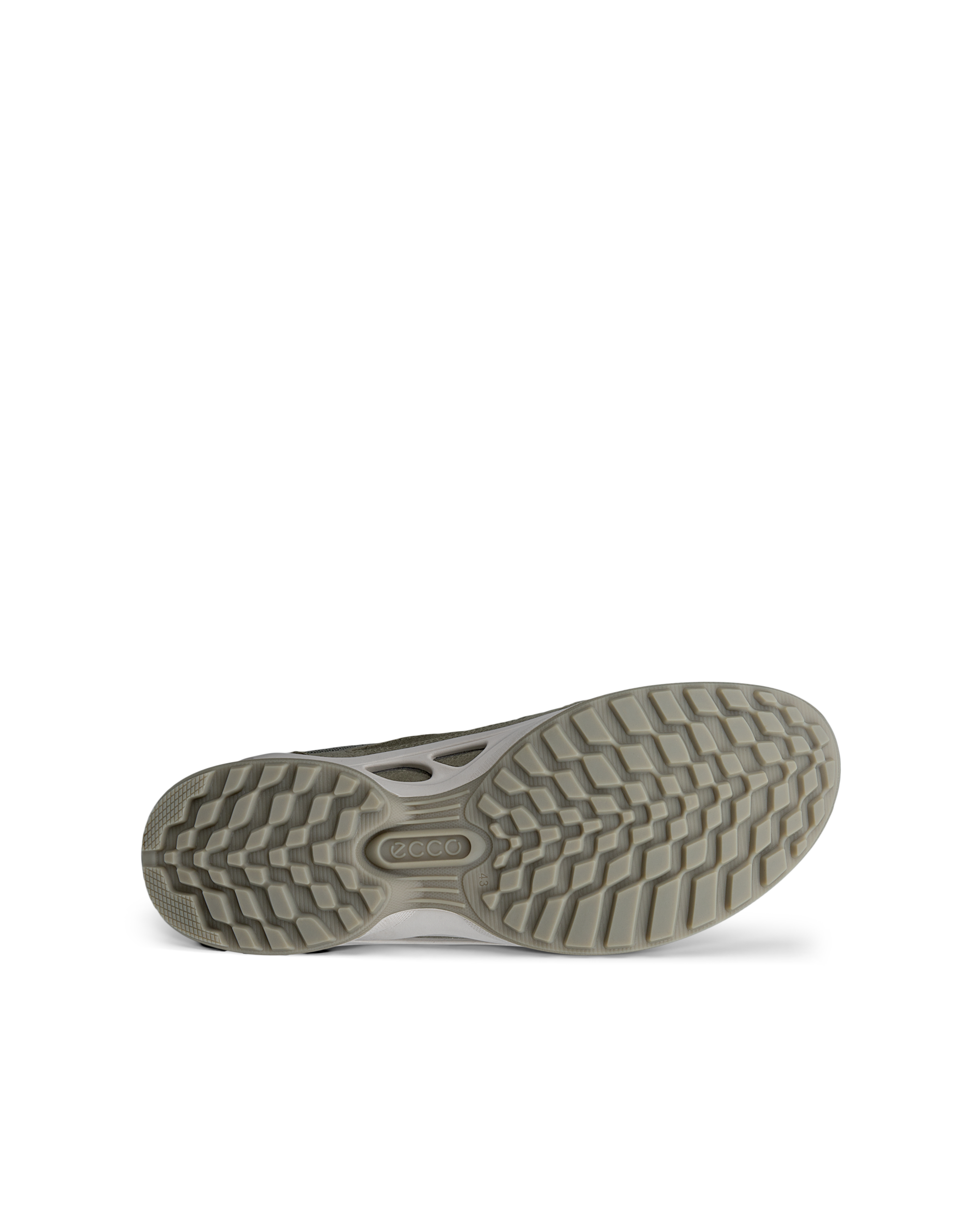 ECCO BIOM ENERGI — Green