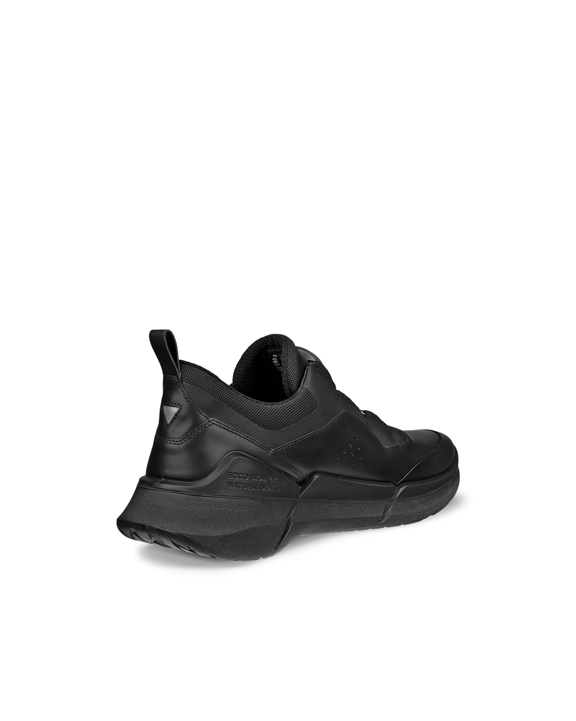 ECCO BIOM 2.2 — Black