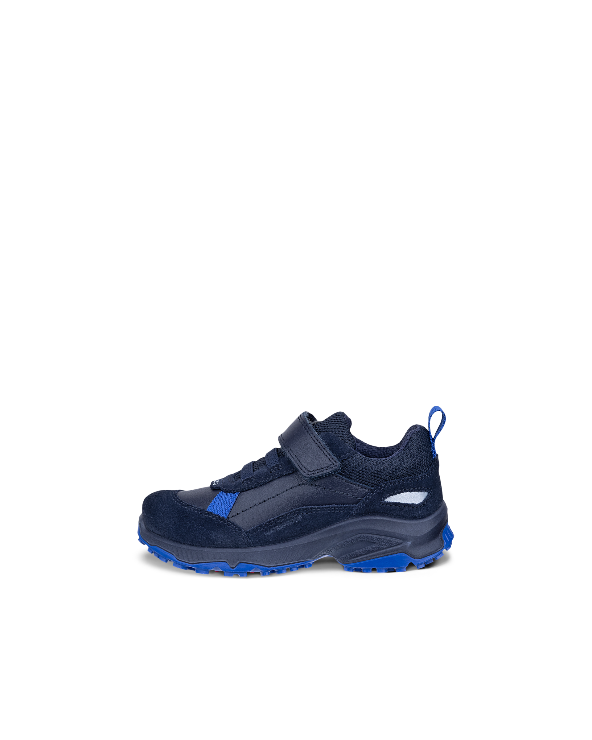 ECCO RECEPTOR XP — Blue