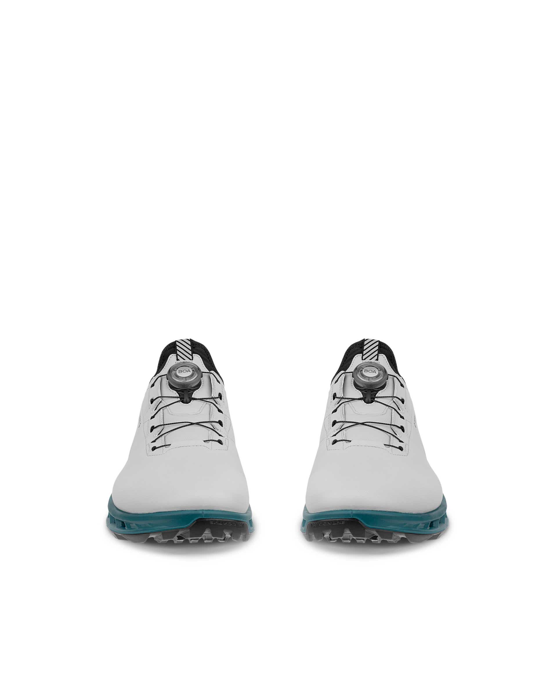 Men's ECCO® Golf Biom C4 Leather Gore-Tex Shoe | Grey