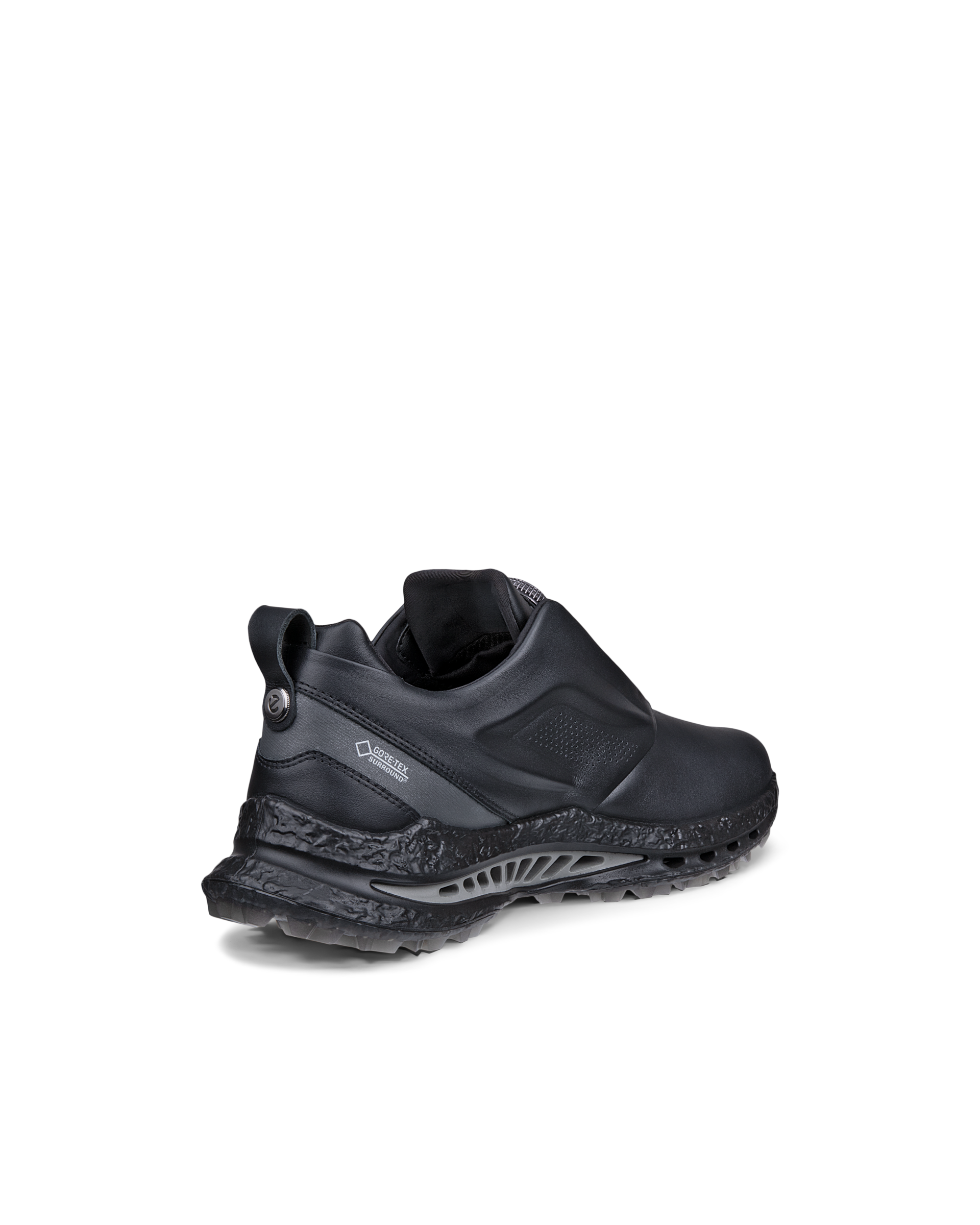 ECCO GOLF BIOM C5 — Black