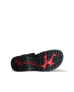 ECCO Offroad — Black 4