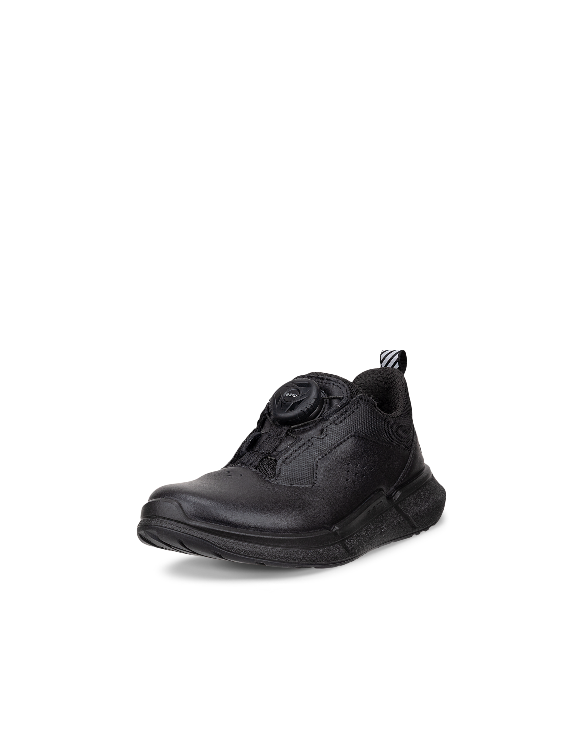 ECCO BIOM 2.2 — Black