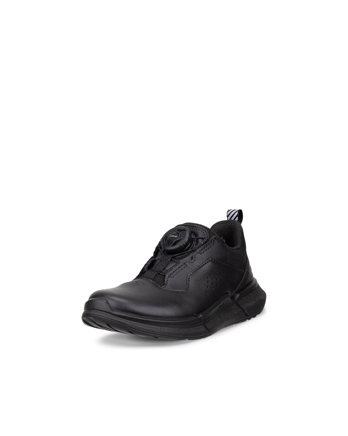 ECCO BIOM 2.2 — Black