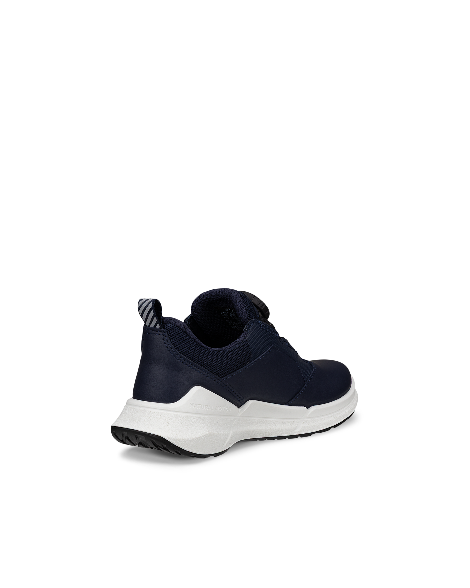ECCO BIOM 2.2 — Blue