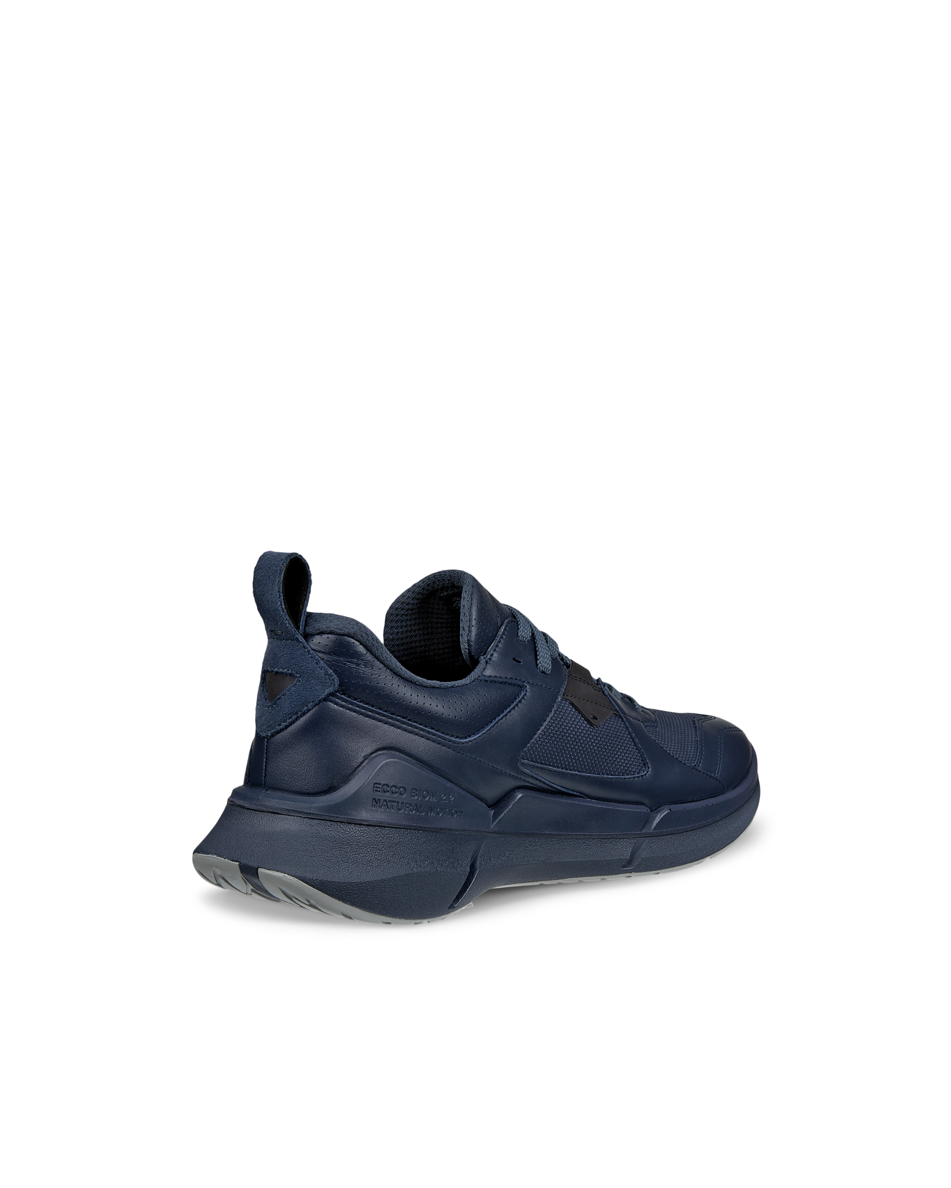 ECCO BIOM 2.2 — Blue