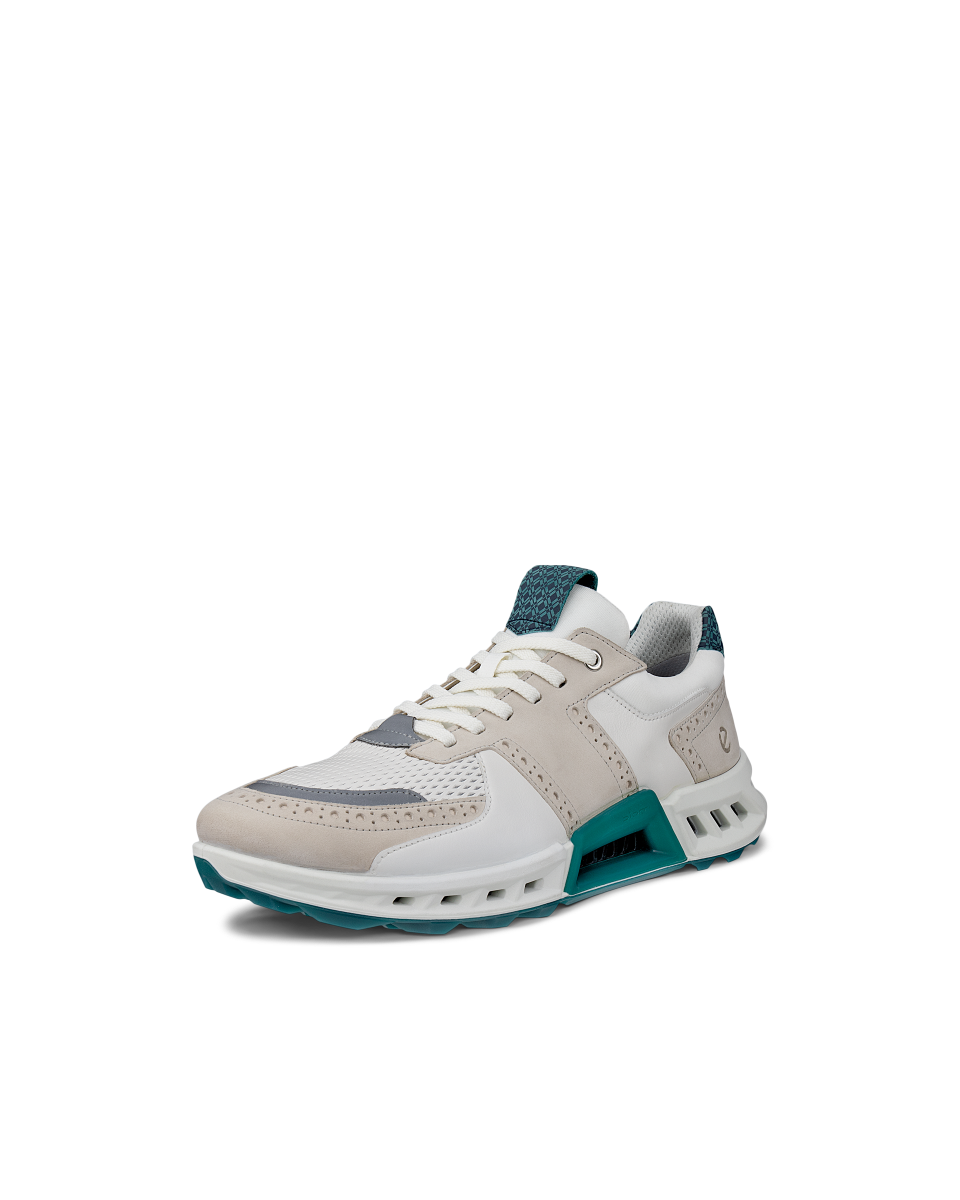 ECCO GOLF BIOM C4 MEN メンズ レザーGore-Texゴルフシューズ | ホワイト