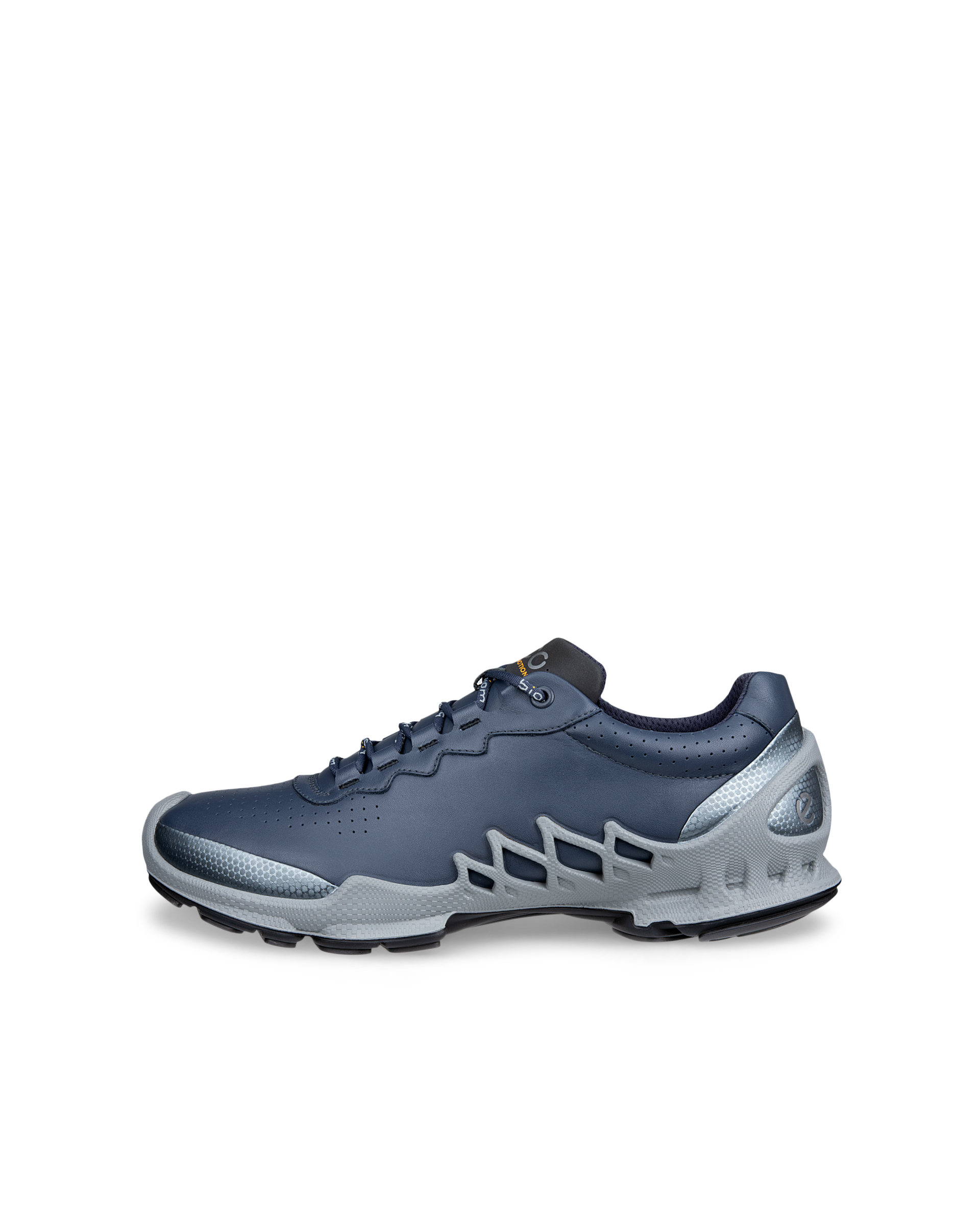 802874-61797-o_eCom.png?v=1