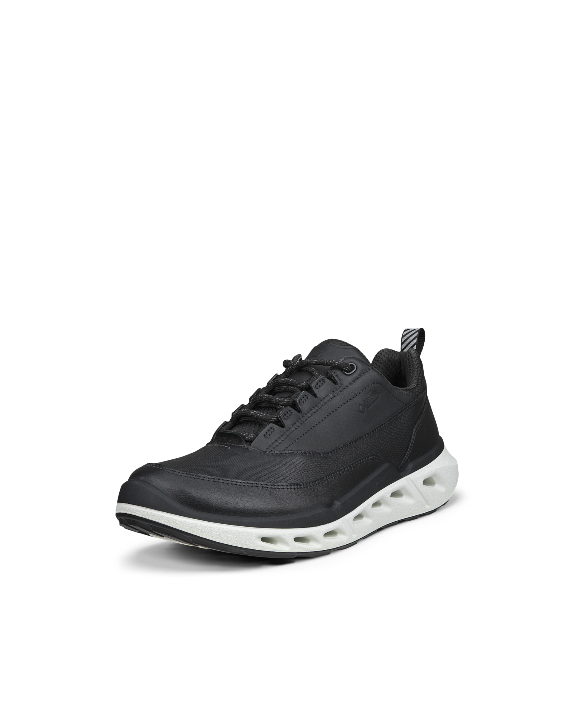 ECCO Biom 720 Gore-Tex — Black