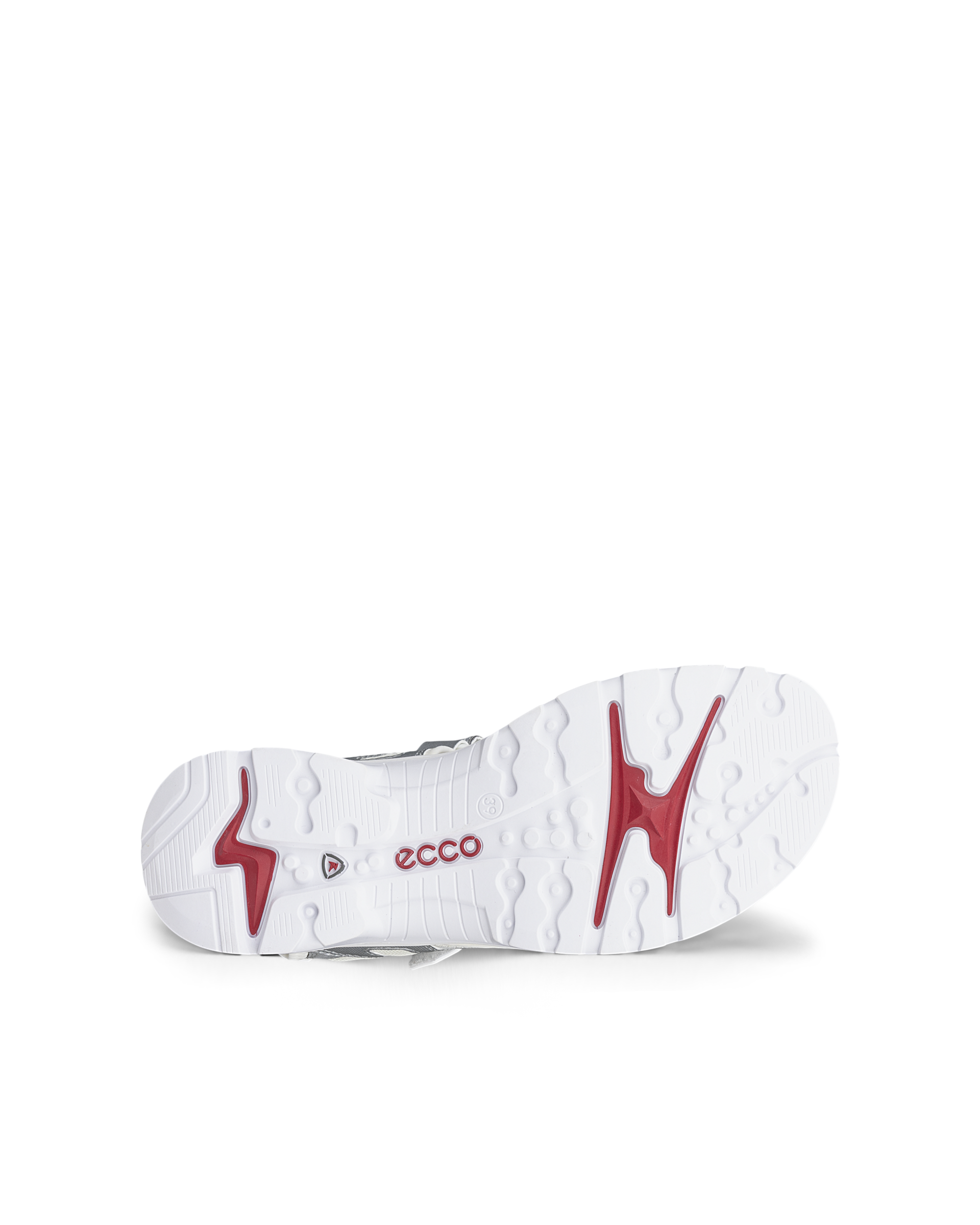 ECCO Offroad — Silver