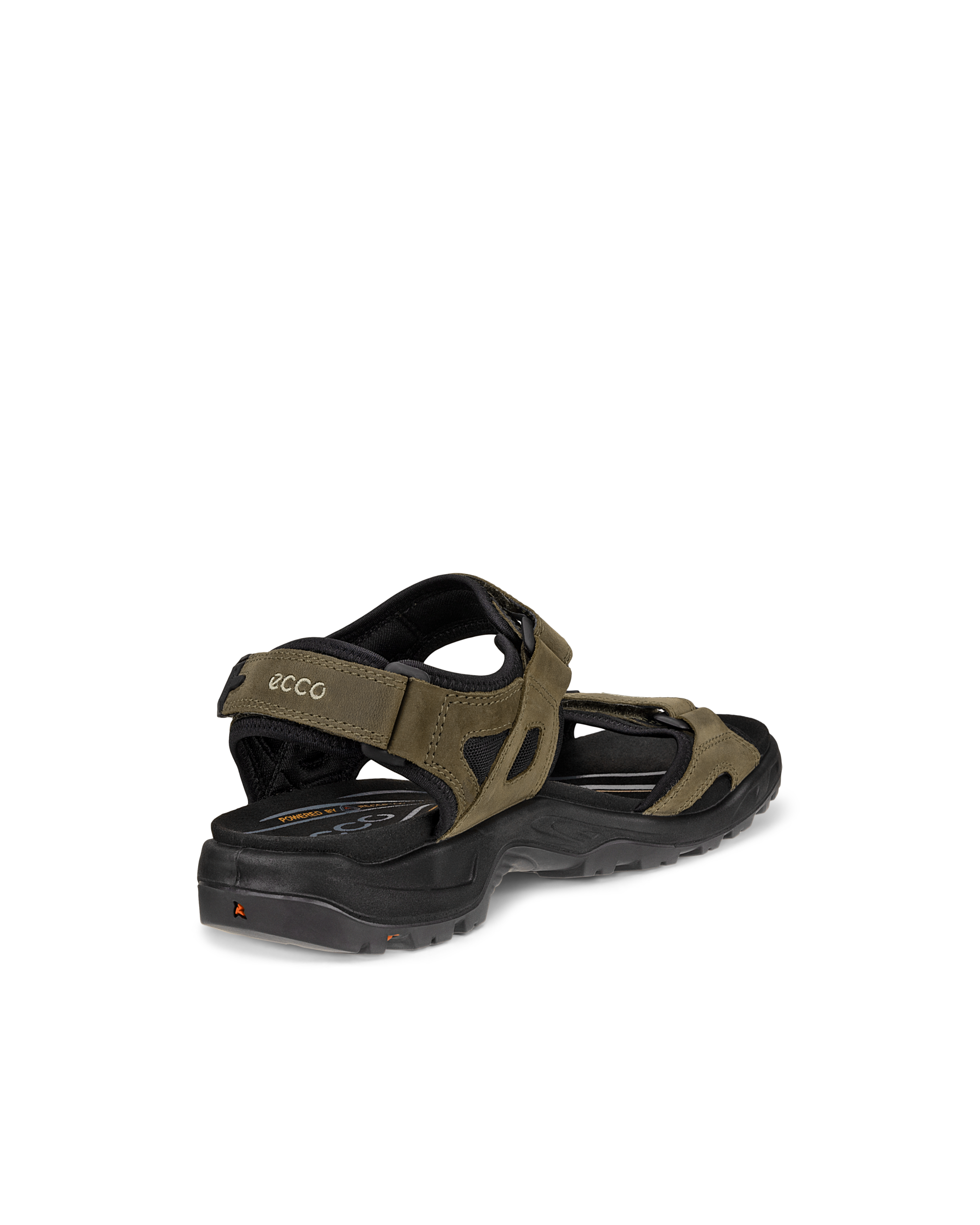 ECCO Offroad — Green