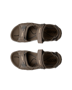 ECCO Offroad — Brown 6