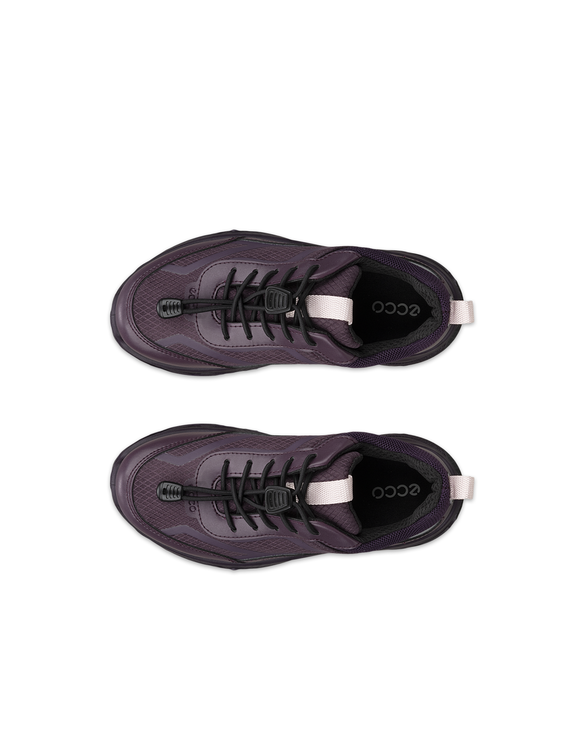 ECCO RECEPTOR XP — Purple