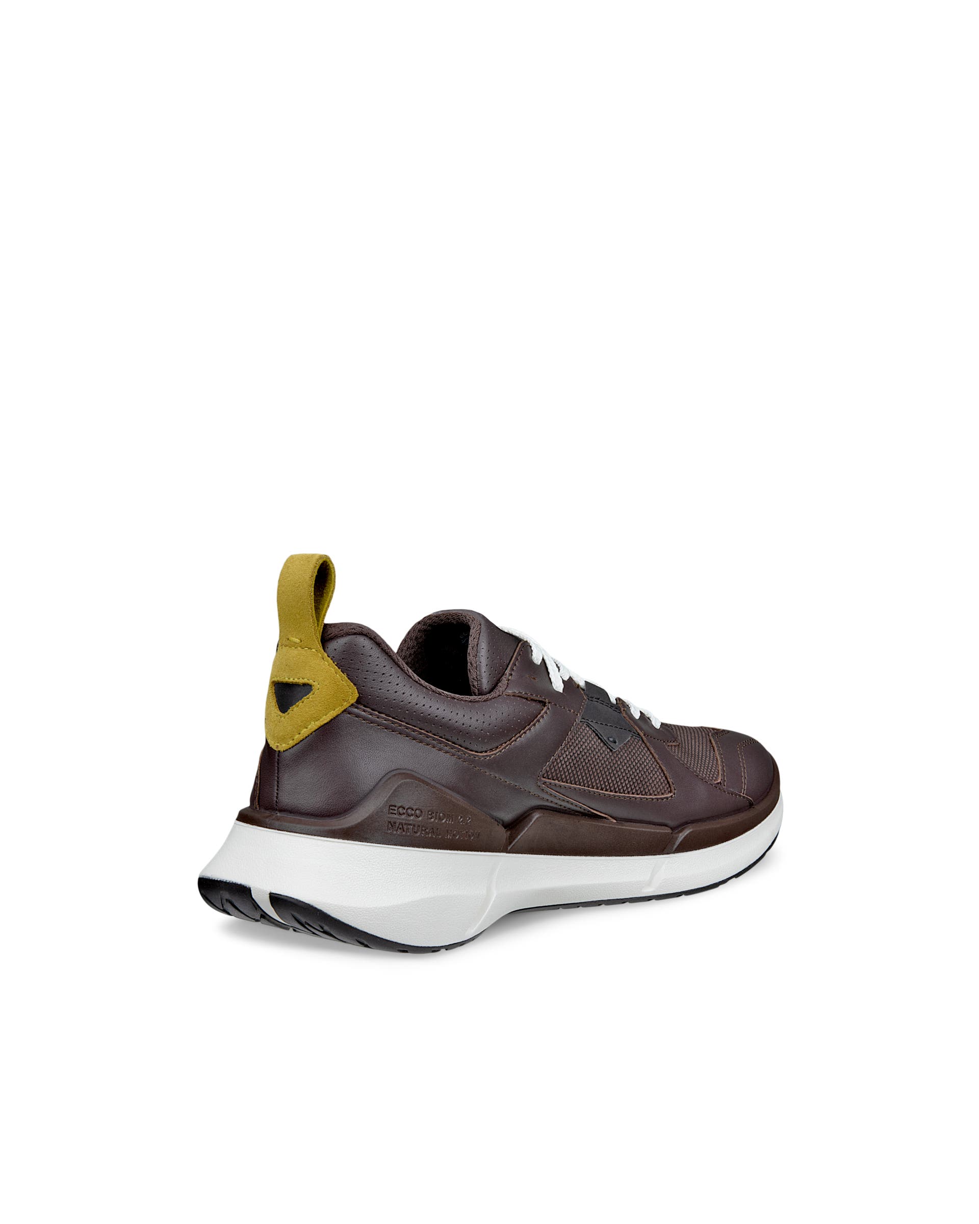ECCO BIOM 2.2 Men メンズ レザーGore-Texスニーカー - ブラウン - Back