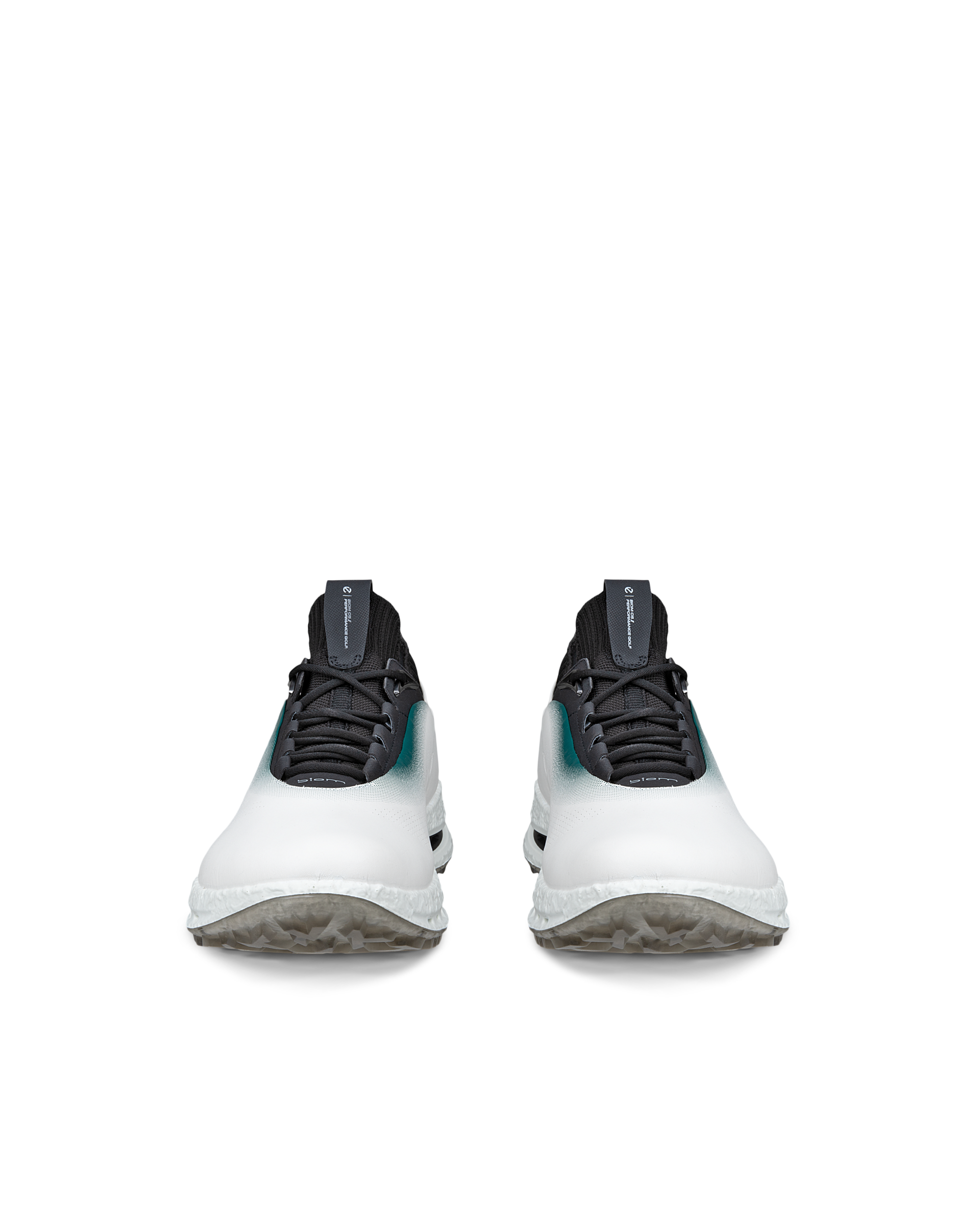ECCO GOLF BIOM C5 MEN メンズ レザーGore-Texゴルフシューズ | ホワイト