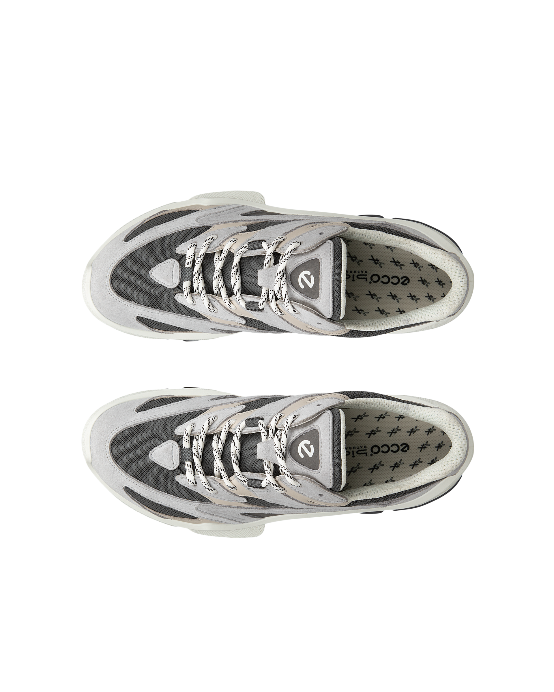 Men's ECCO® BIOM C2-TRAIL Suede Gore-Tex Outdoor Shoe | Gray