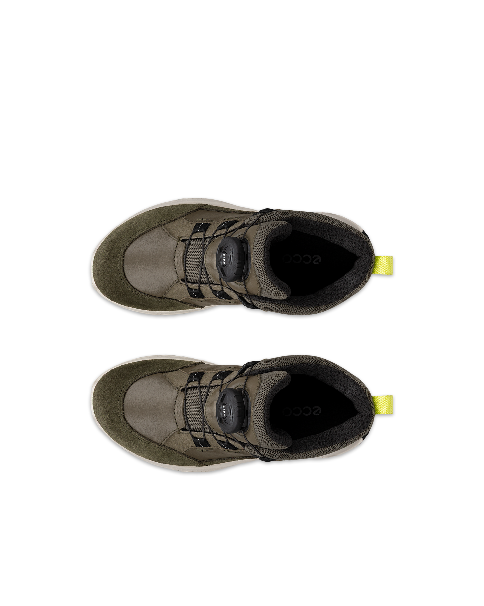 ECCO RECEPTOR XP — Green