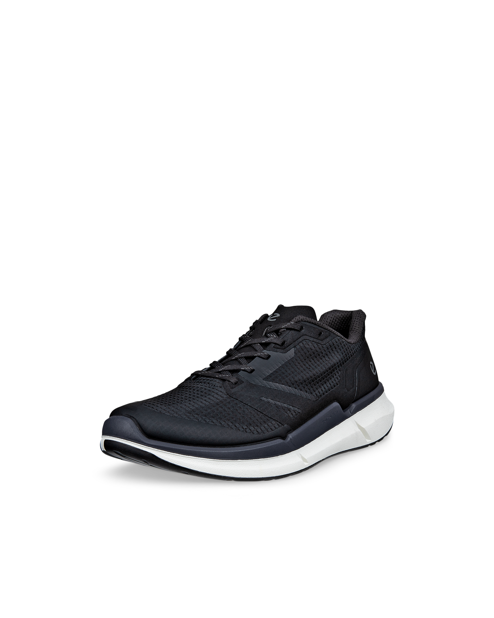 ECCO BIOM 2.2 — Black