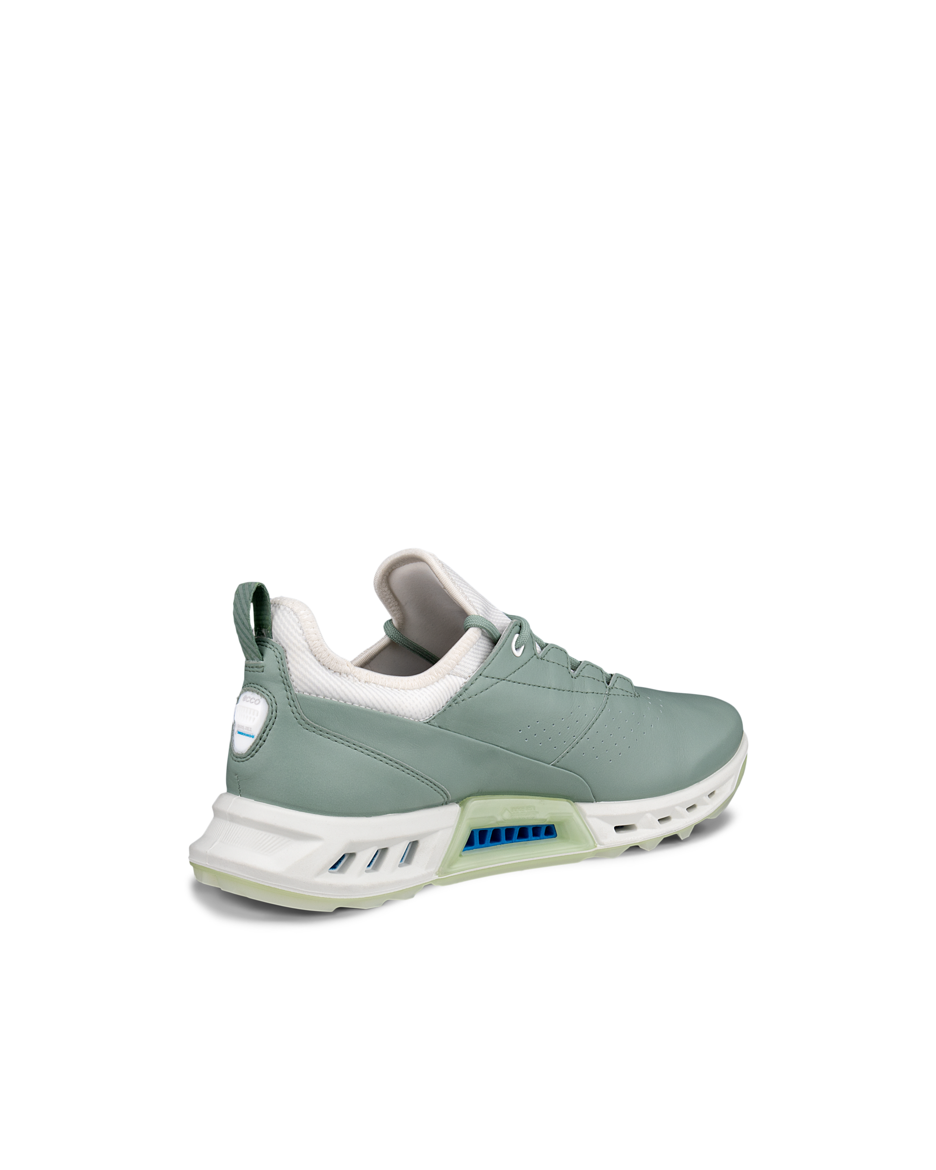 ECCO GOLF BIOM C4 — Green
