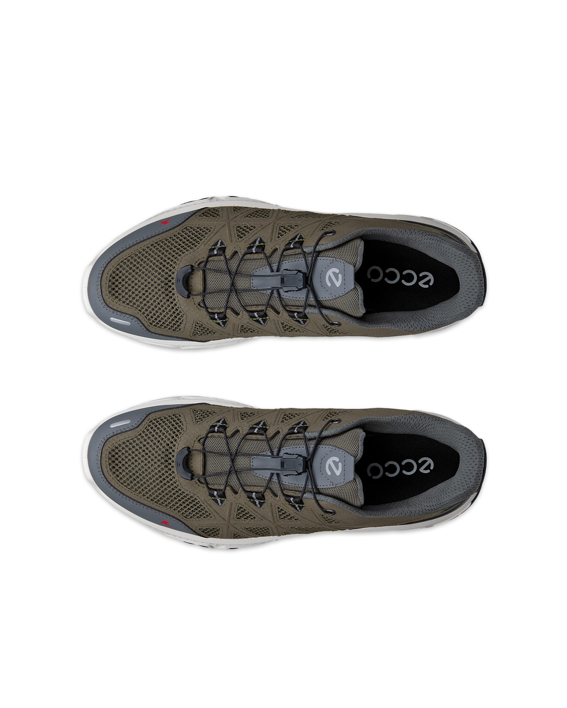 ECCO Receptor XP — Green