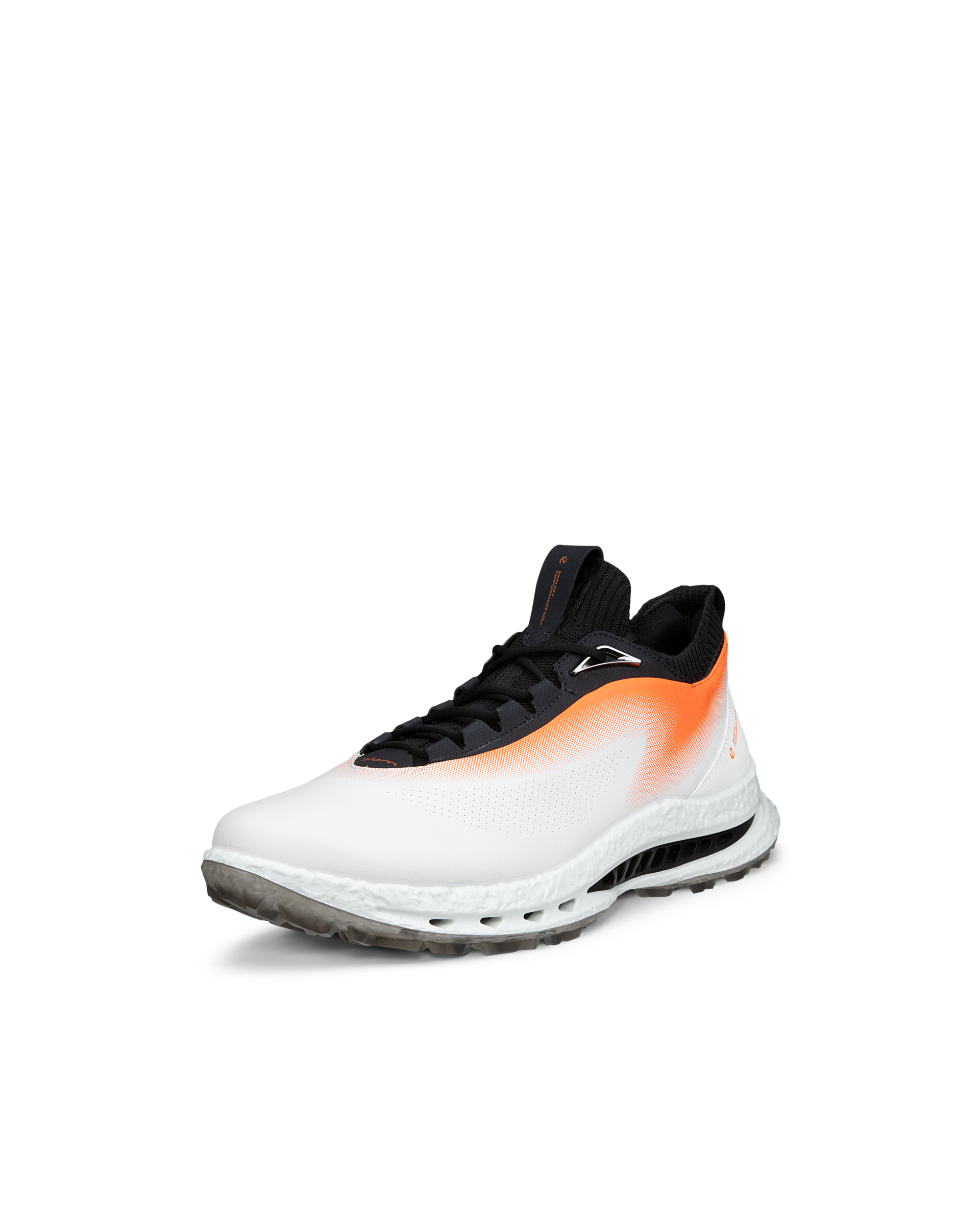 ECCO Golf Biom C5 — White (alternate view)