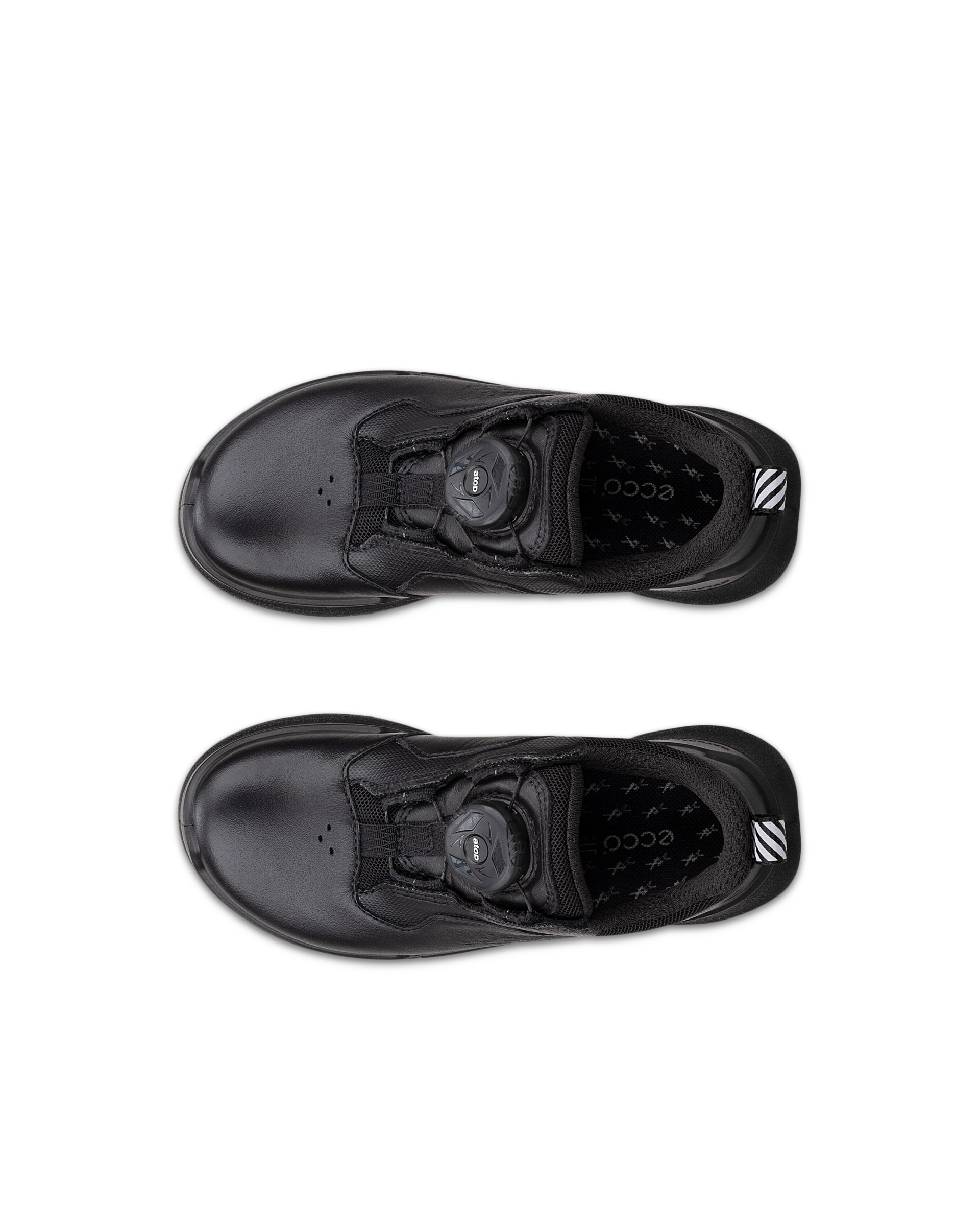 ECCO BIOM 2.2 — Black