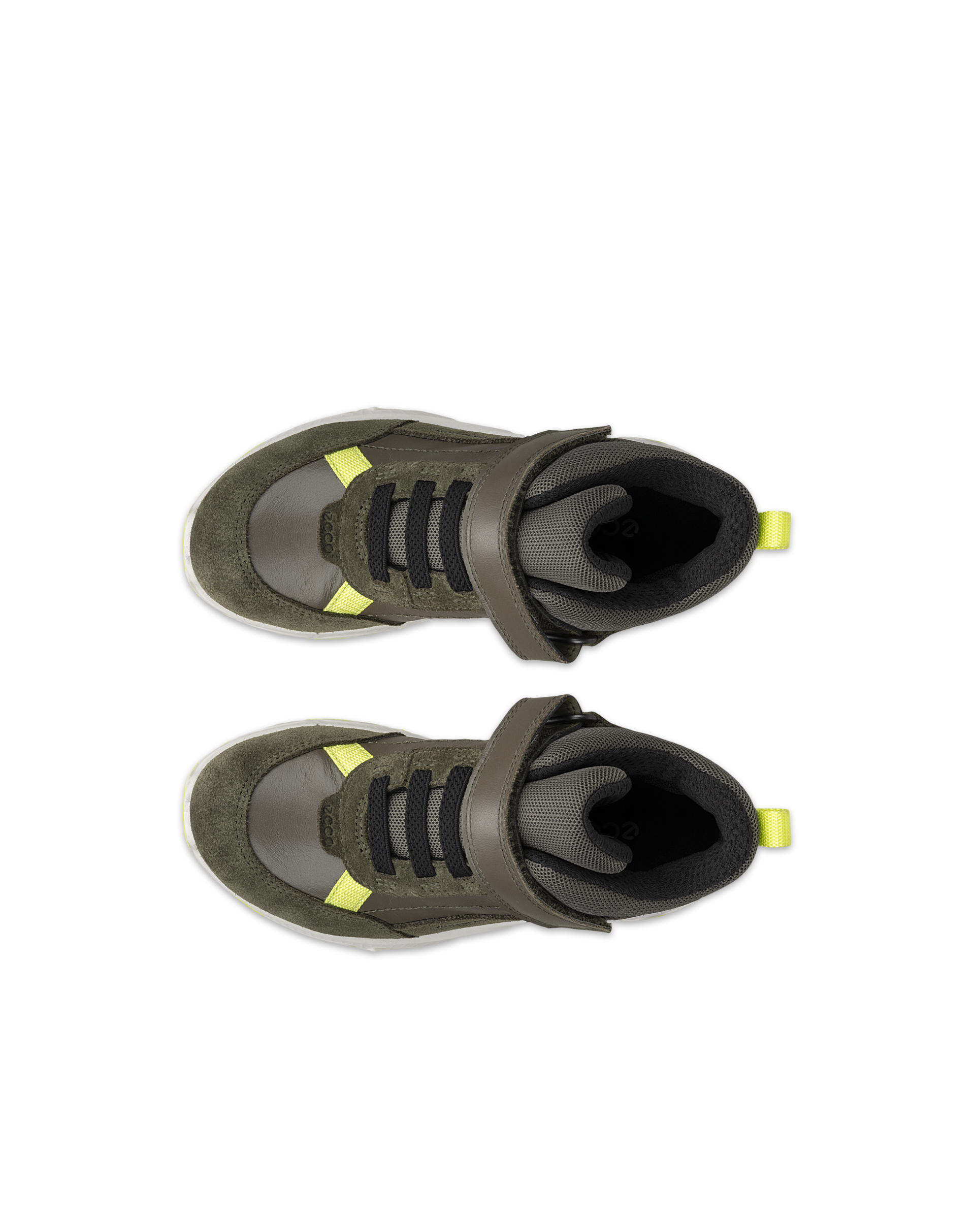 ECCO RECEPTOR XP — Green