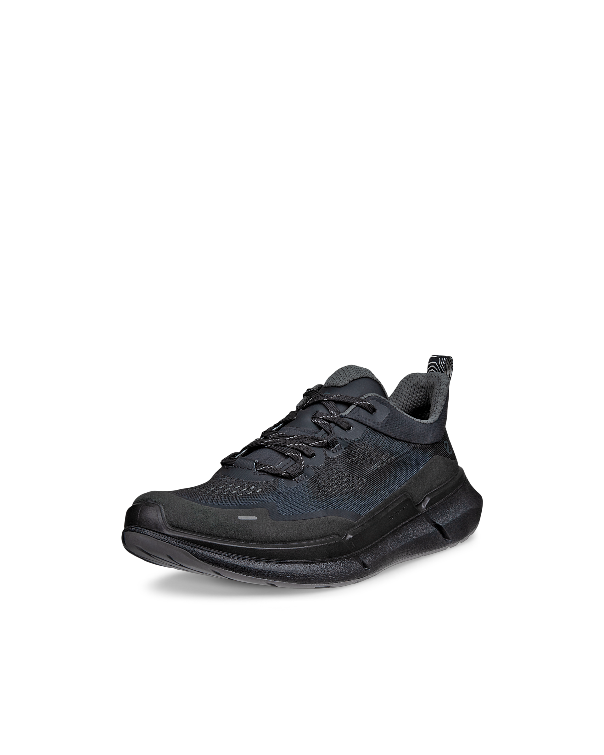 ECCO BIOM 2.2 — Black