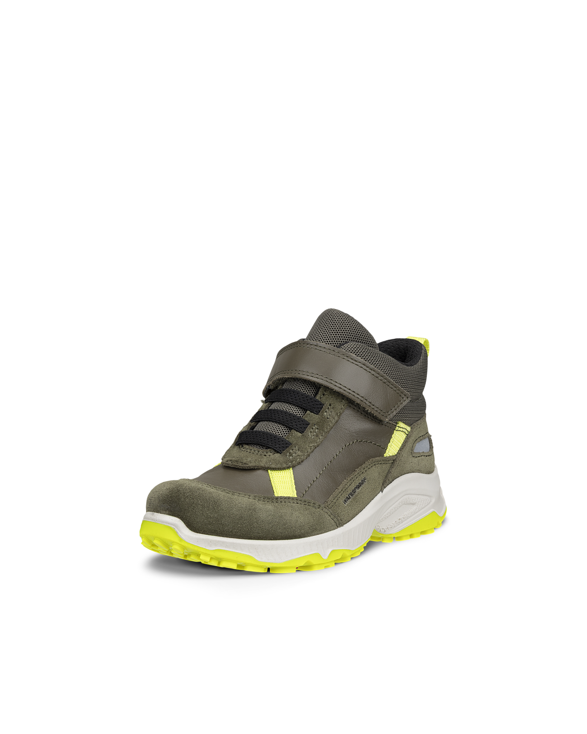 ECCO RECEPTOR XP — Green