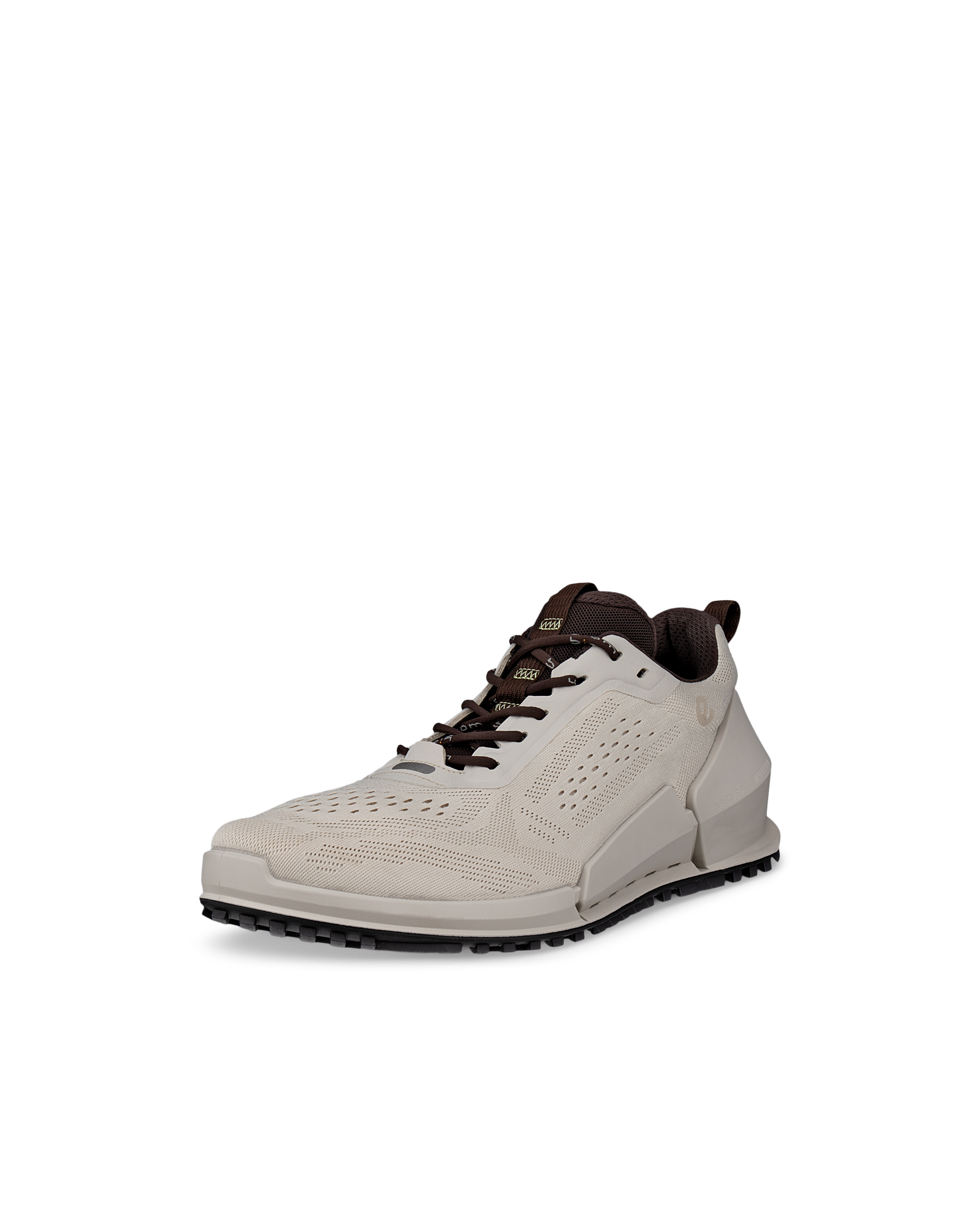 ECCO Biom 2.0 — Gray