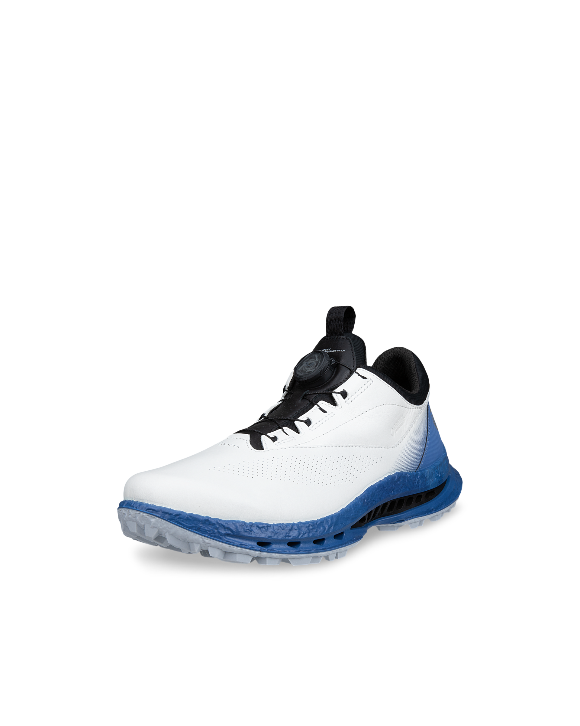 ECCO GOLF BIOM C5 Men メンズ レザーGore-Texゴルフシューズ | ホワイト