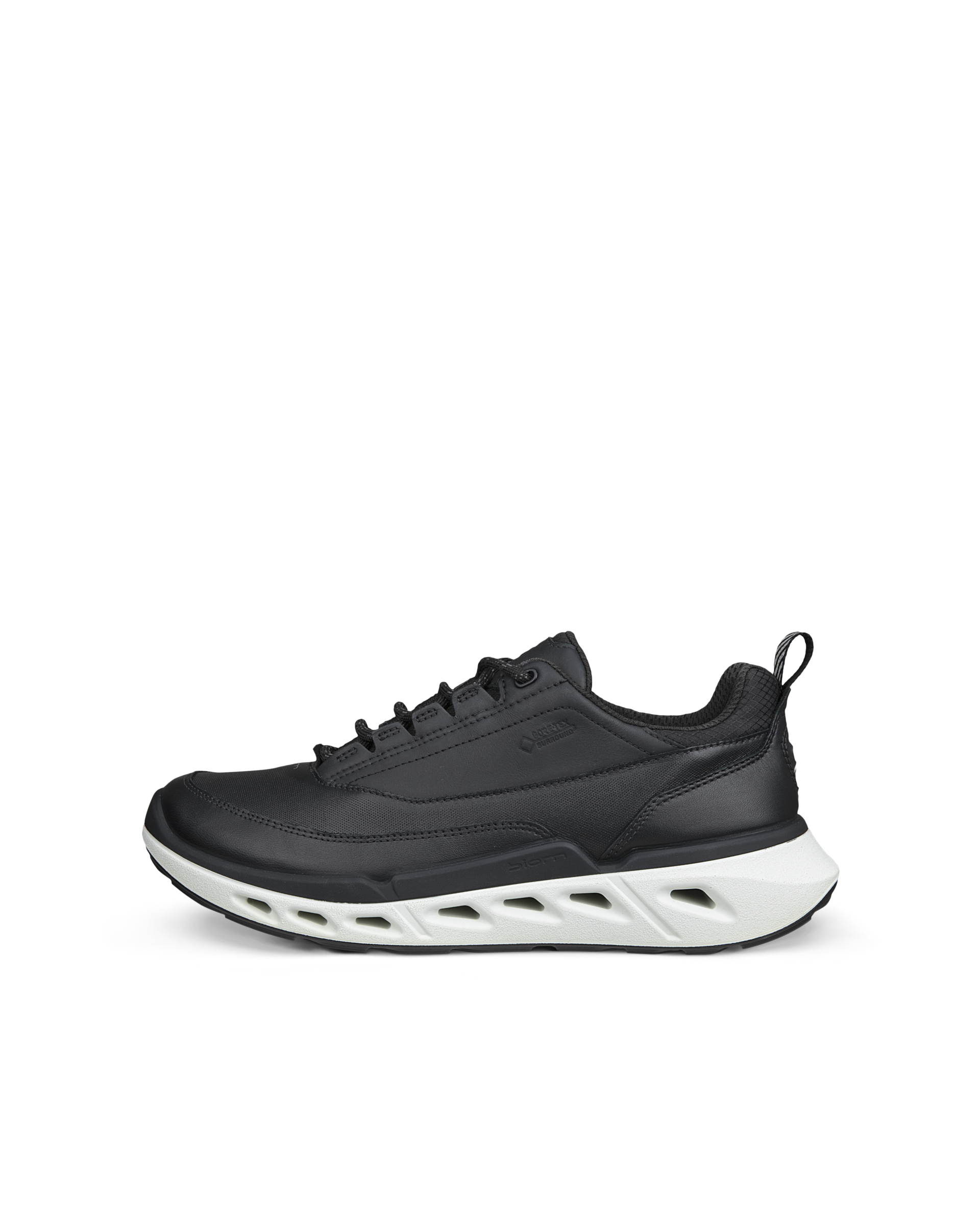 ECCO Biom 720 Gore-Tex — Black