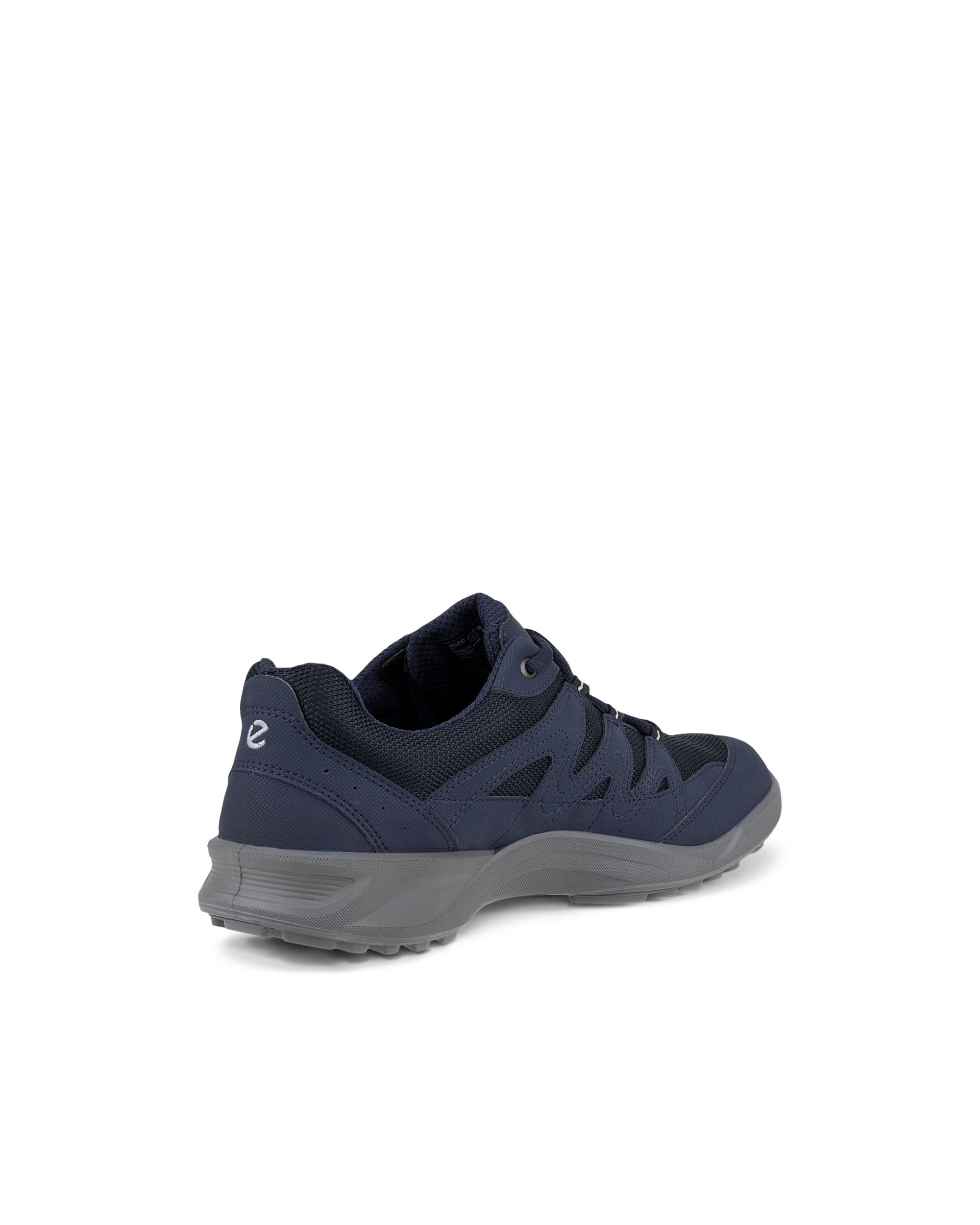 ECCO TERRACRUISE LT — Blue