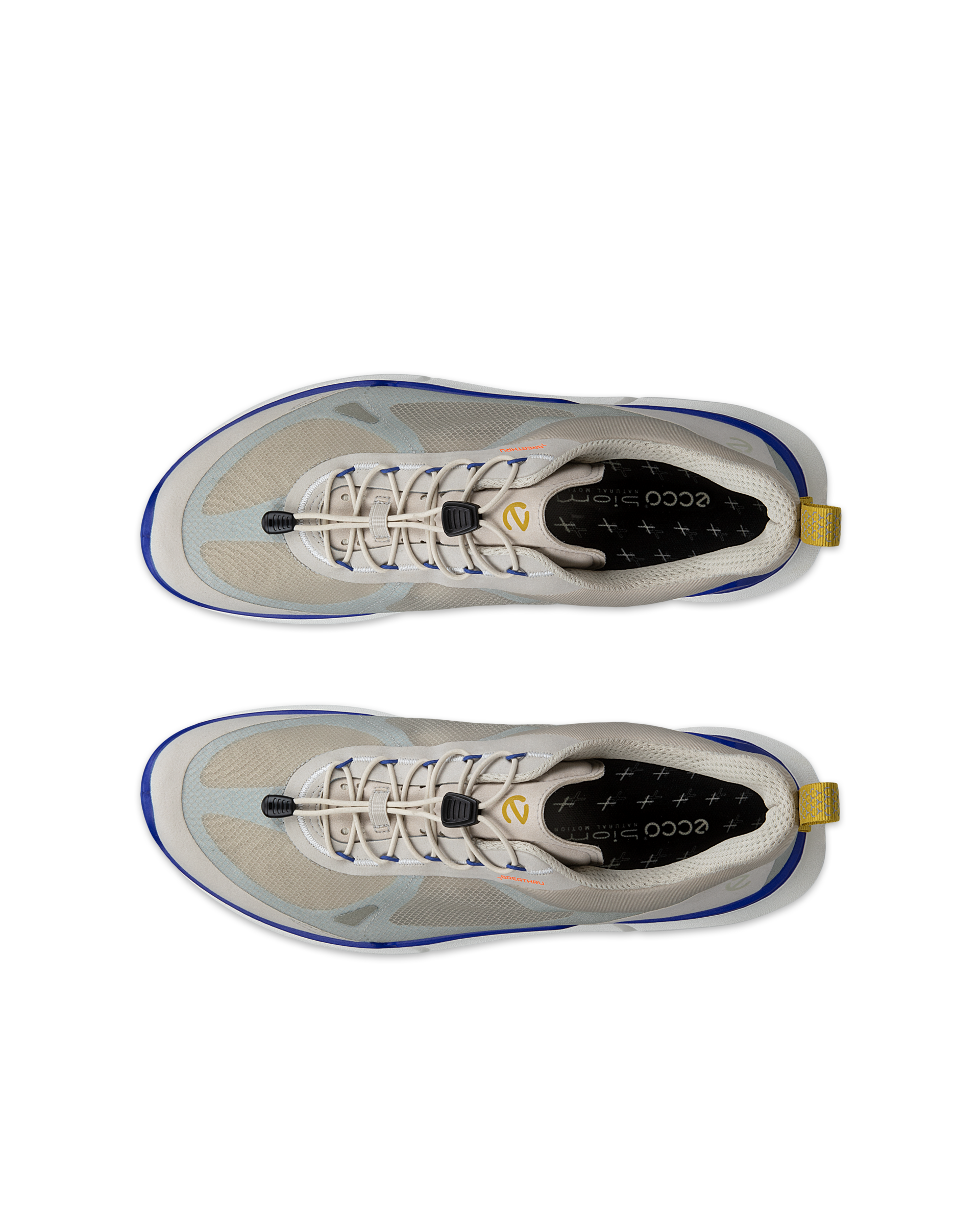 ECCO BIOM 2.2 — Grey