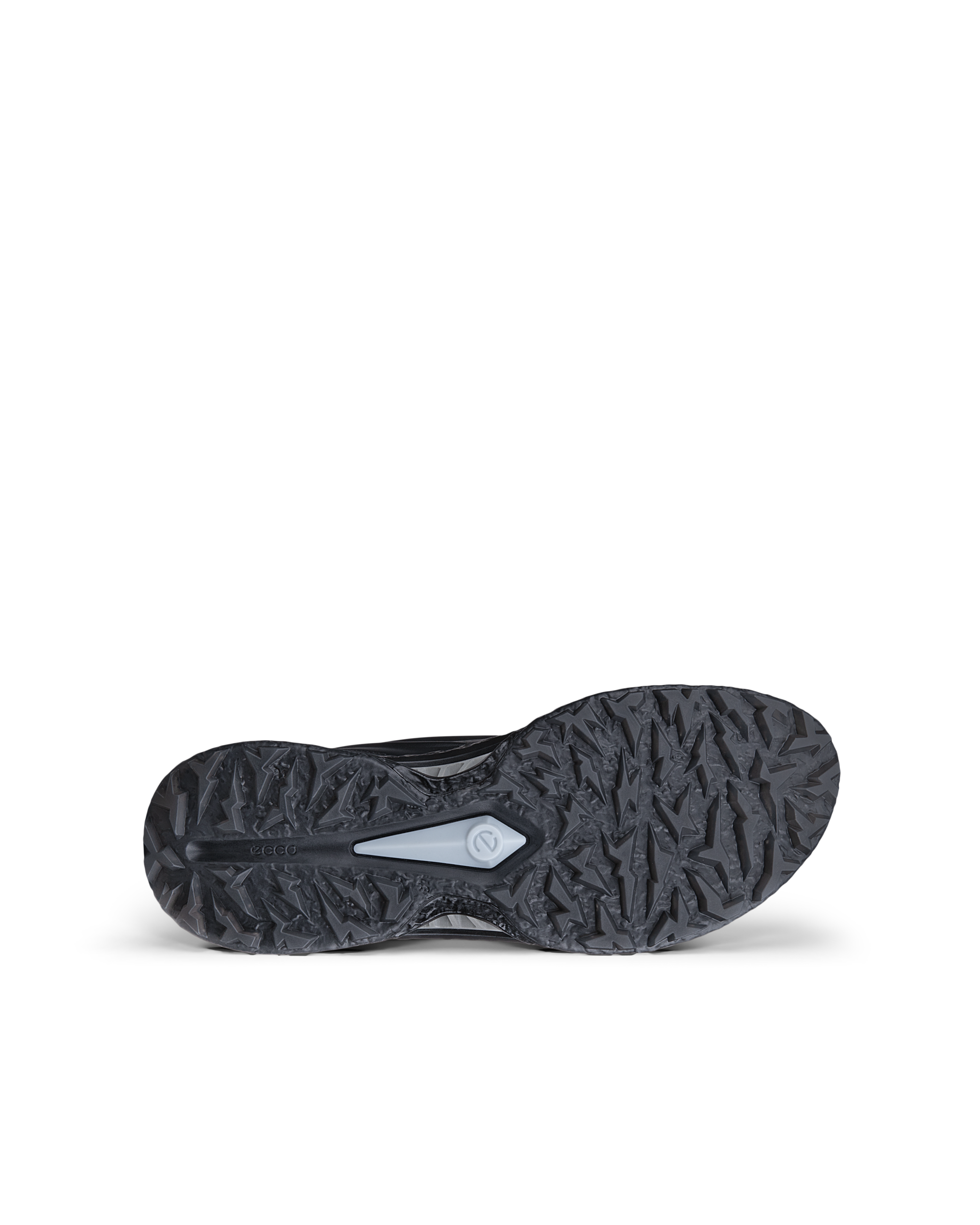 ECCO GOLF BIOM C5 — Black
