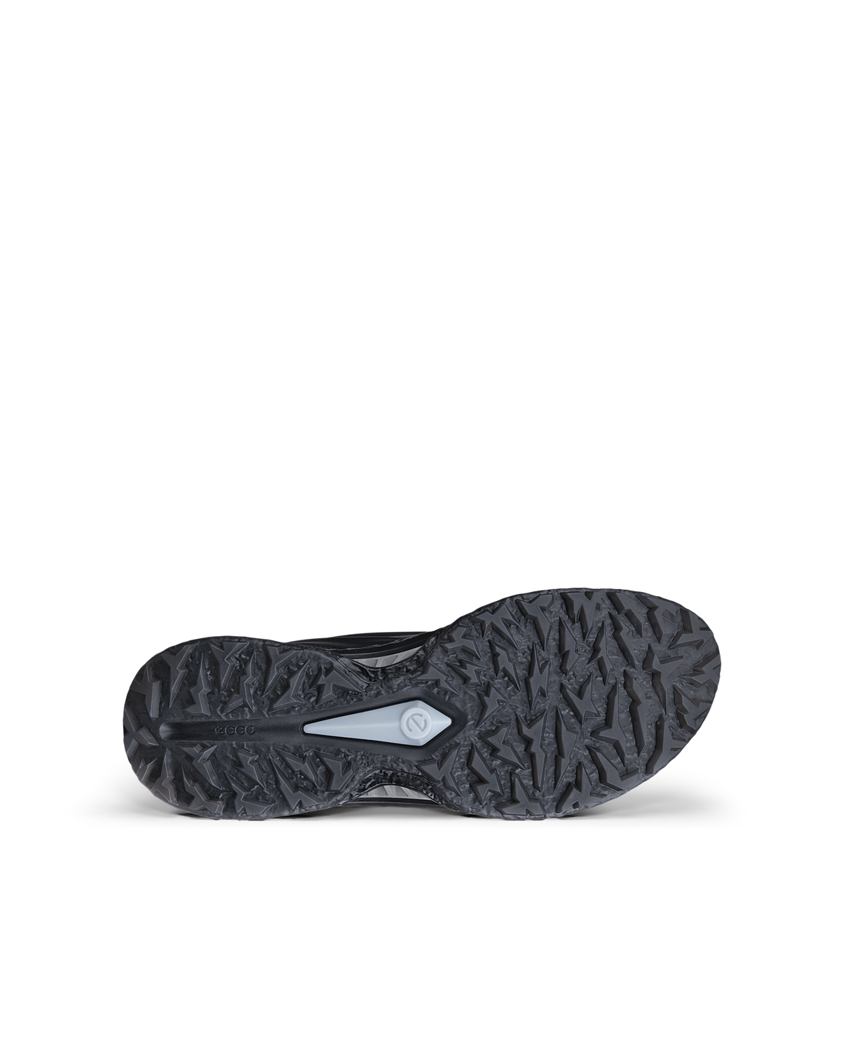 ECCO Golf Biom C5 — Black
