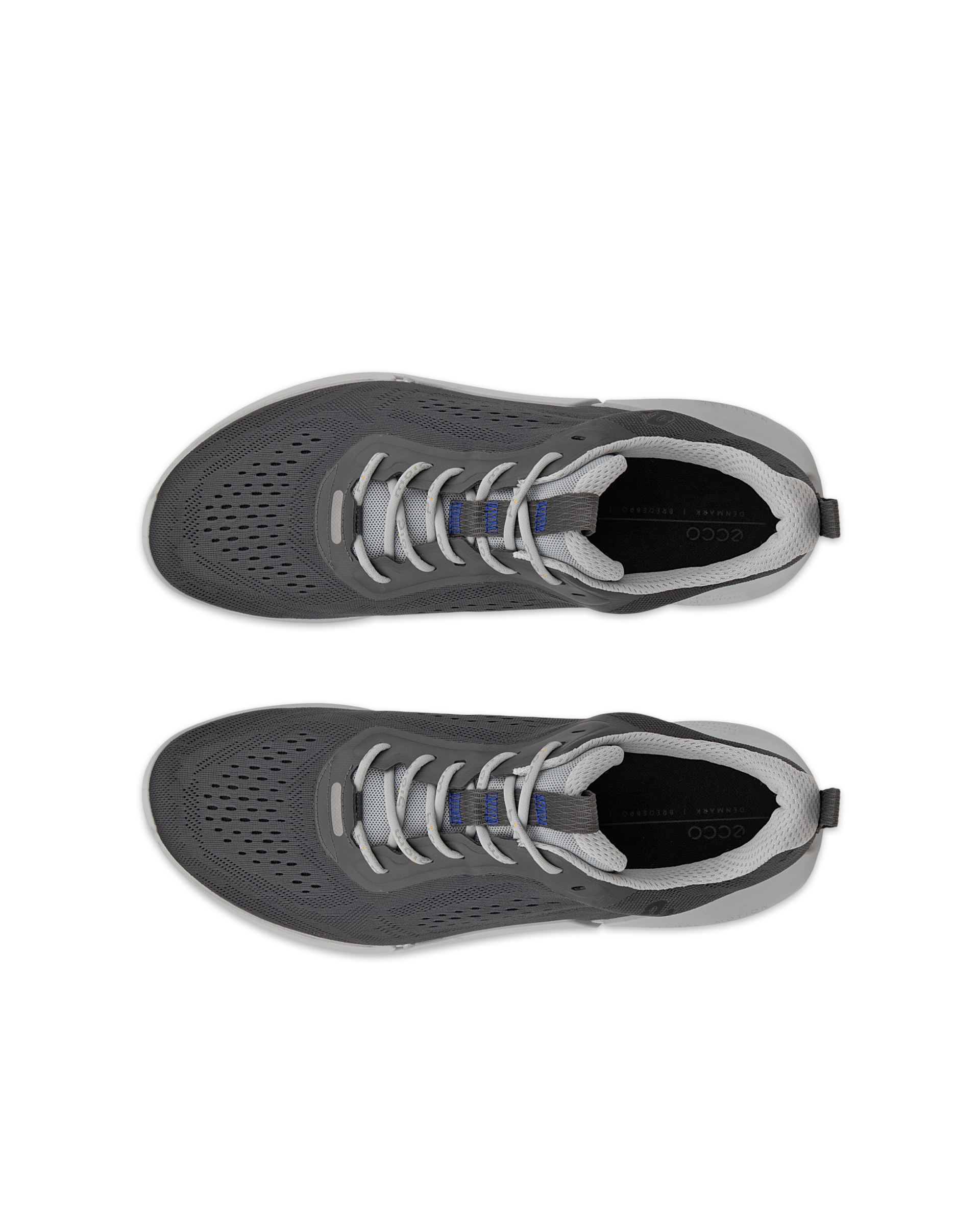 ECCO Biom 2.0 — Gray