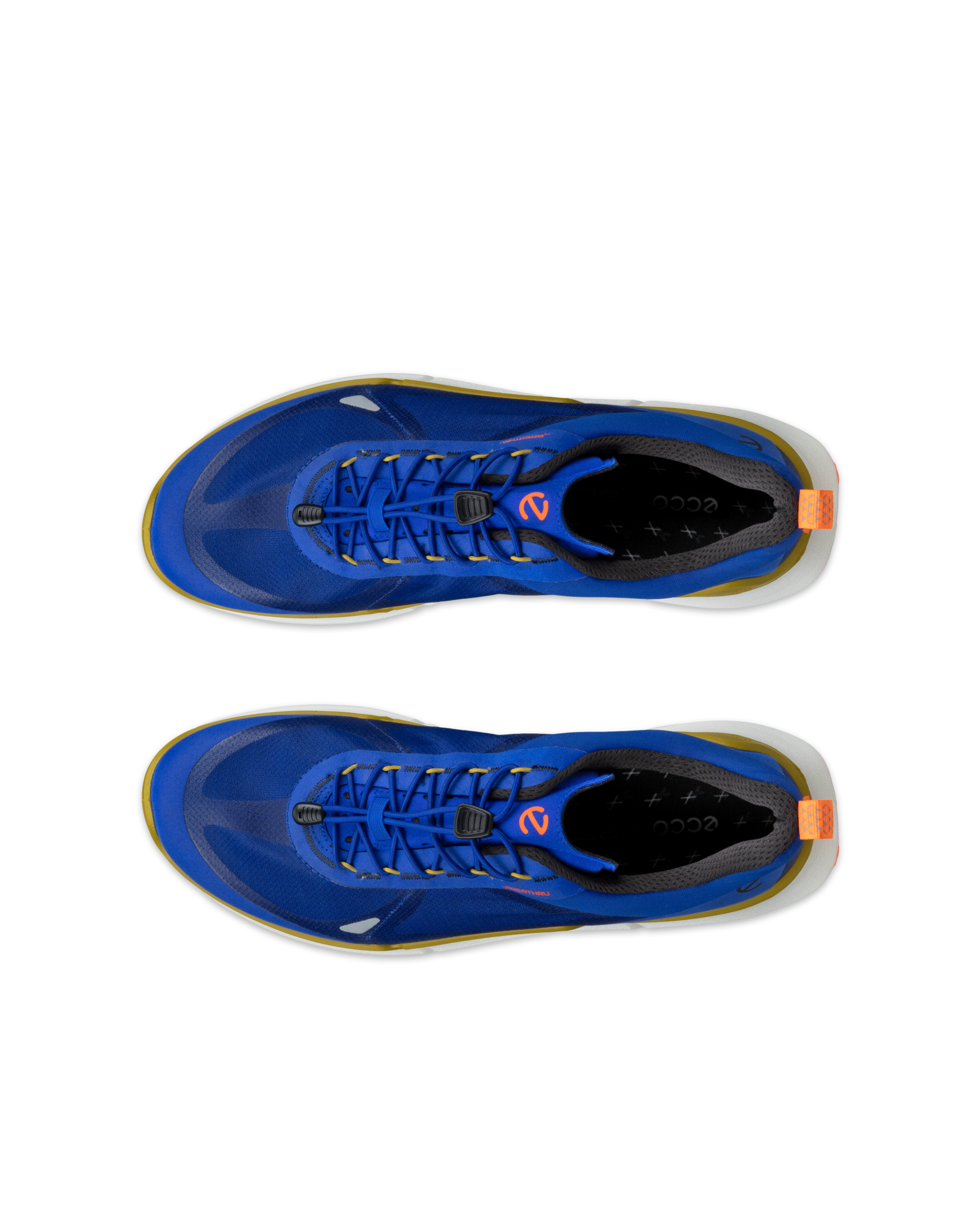 ECCO BIOM 2.2 — Blue