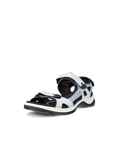 ECCO Offroad — Blue 2