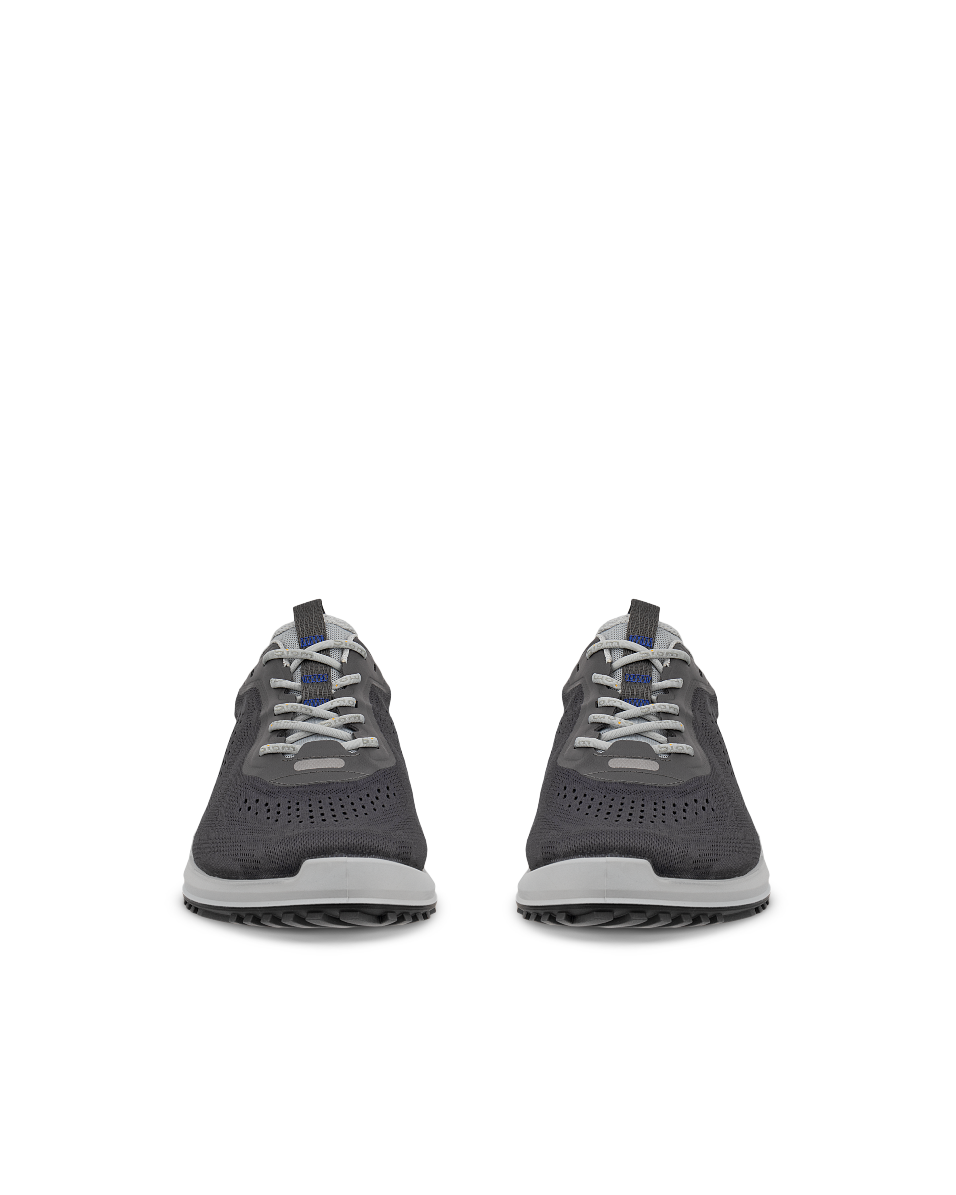 ECCO Biom 2.0 — Gray