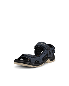 ECCO Offroad — Blue 3