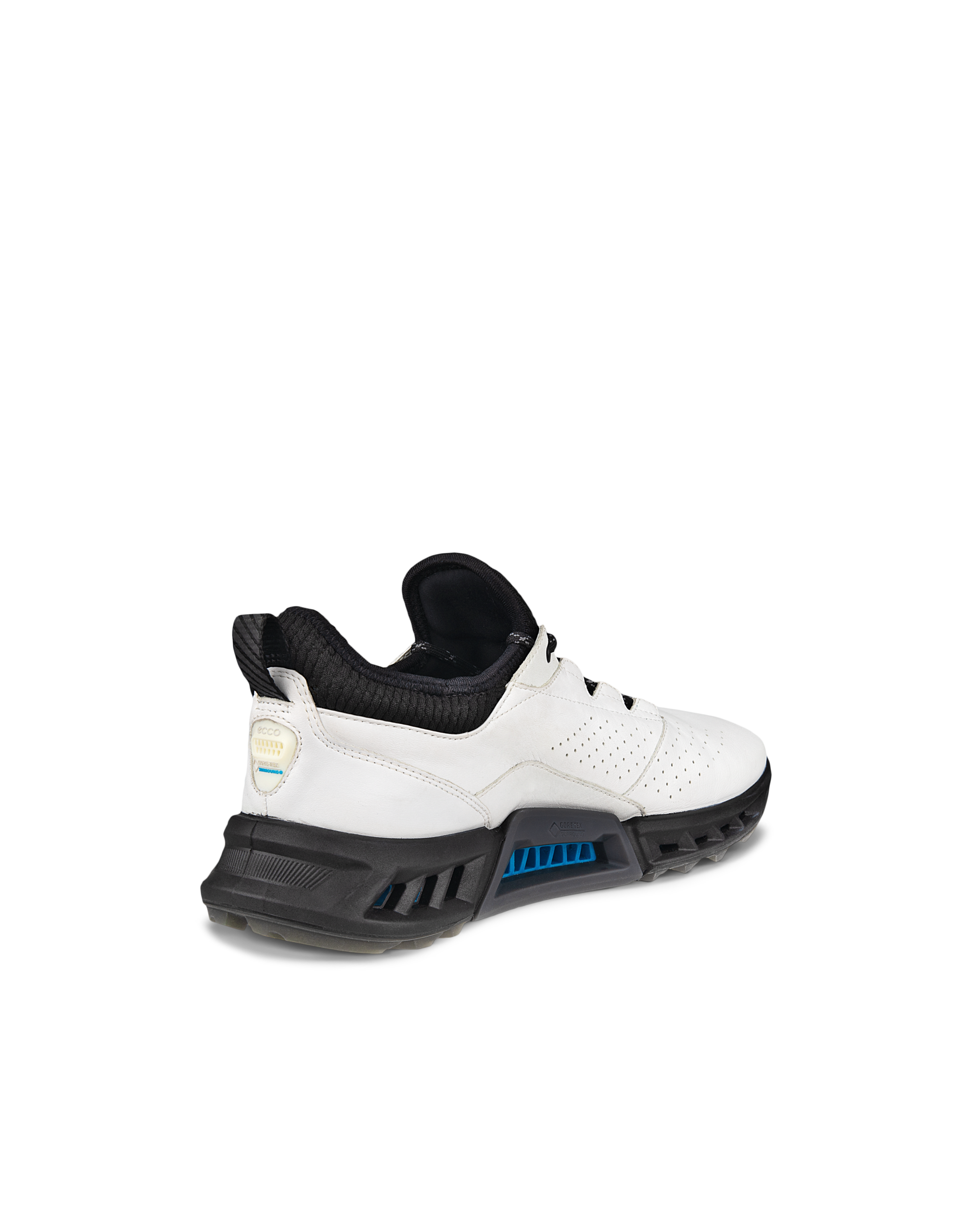 ECCO Golf BIOM C4 Men メンズ レザーGore-Texゴルフシューズ | ホワイト