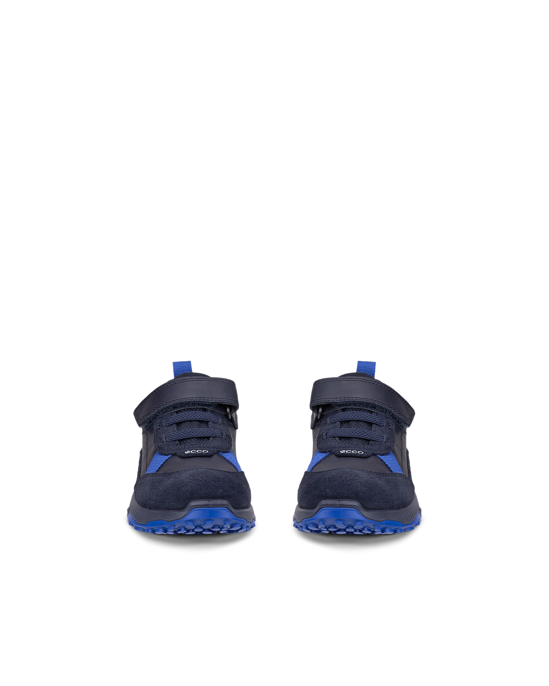 ECCO RECEPTOR XP — Blue