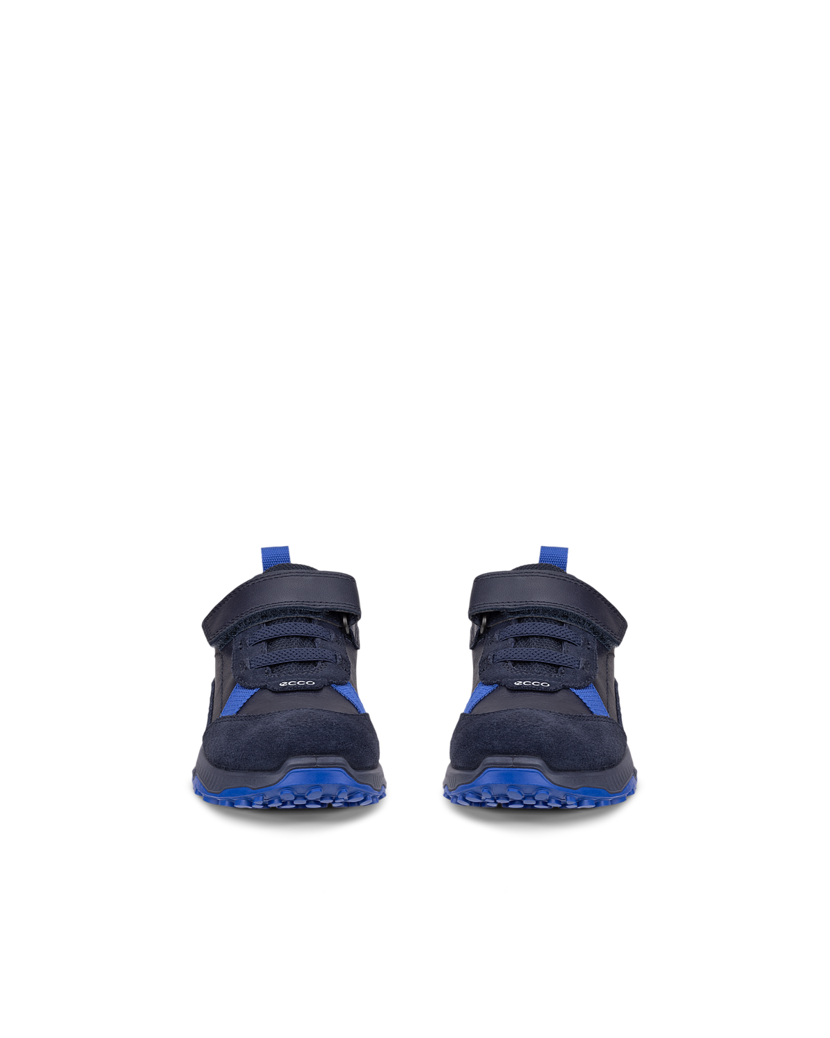 ECCO RECEPTOR XP — Blue