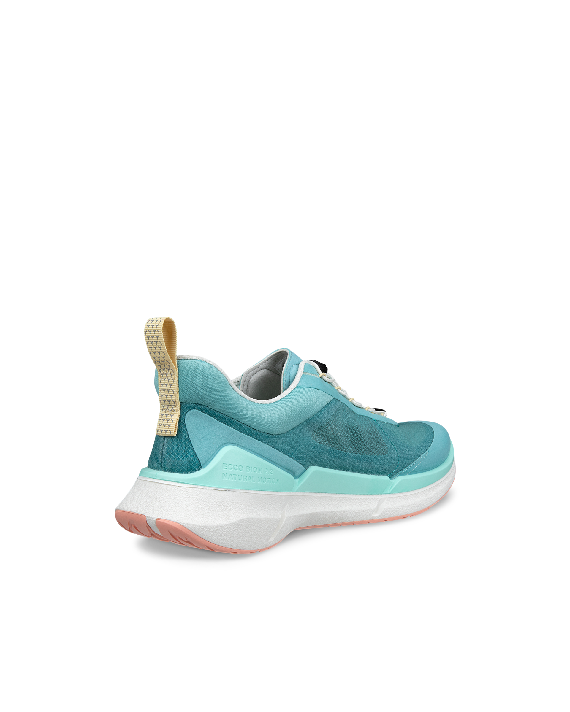 ECCO BIOM 2.2 — Blue
