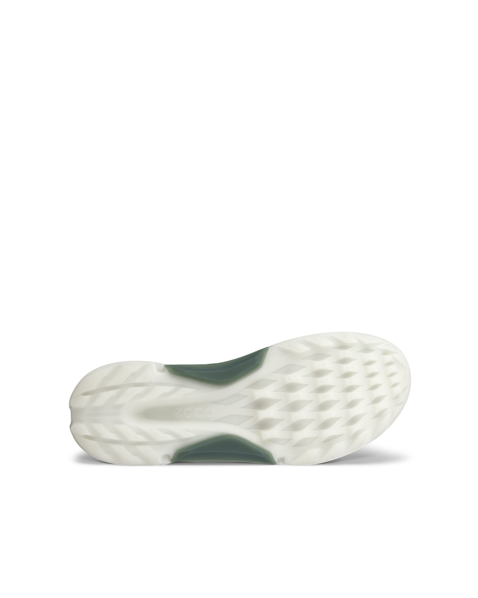 ECCO Golf BIOM H4 BOA メンズ レザーGore-Texゴルフシューズ | グレー