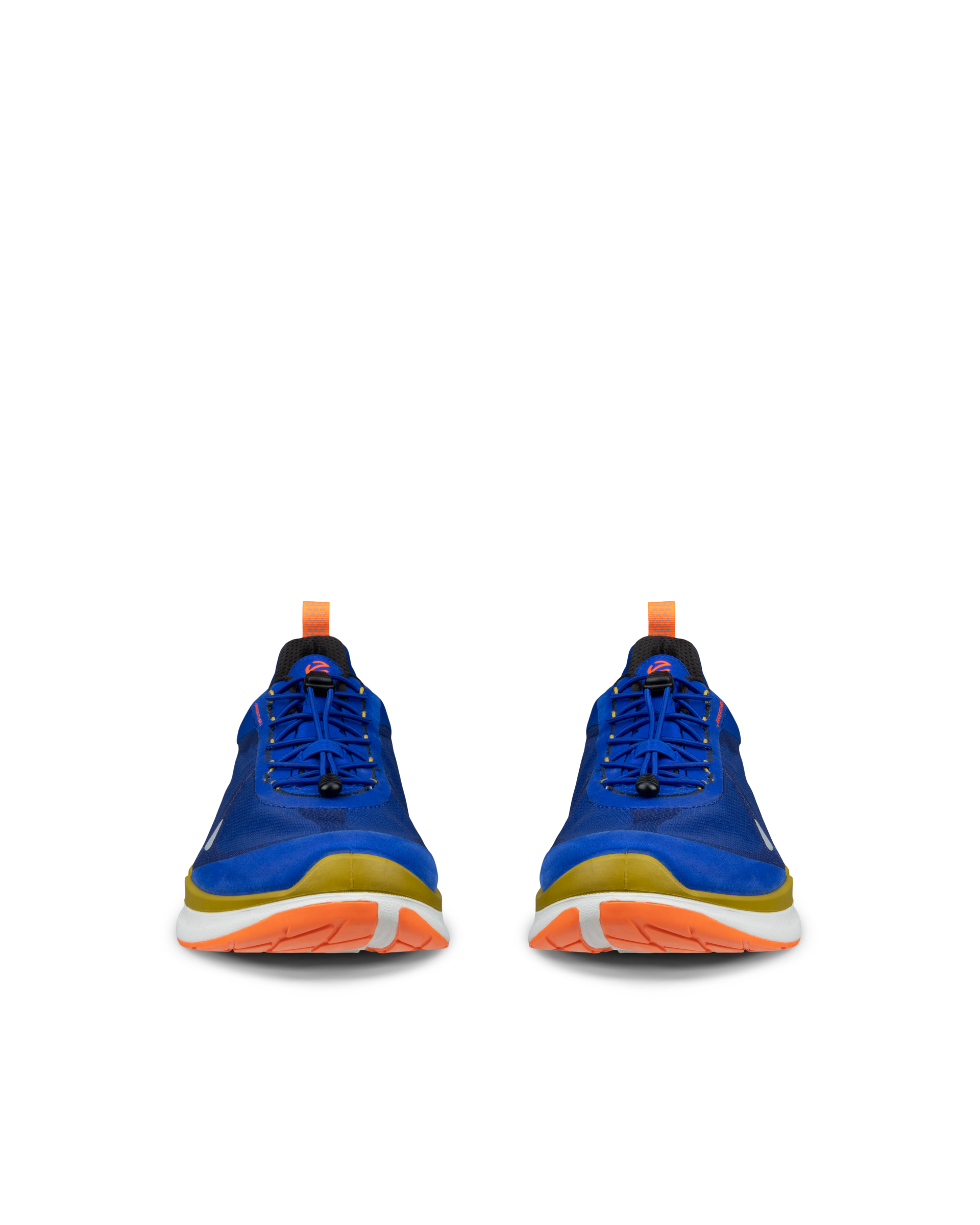 ECCO BIOM 2.2 — Blue
