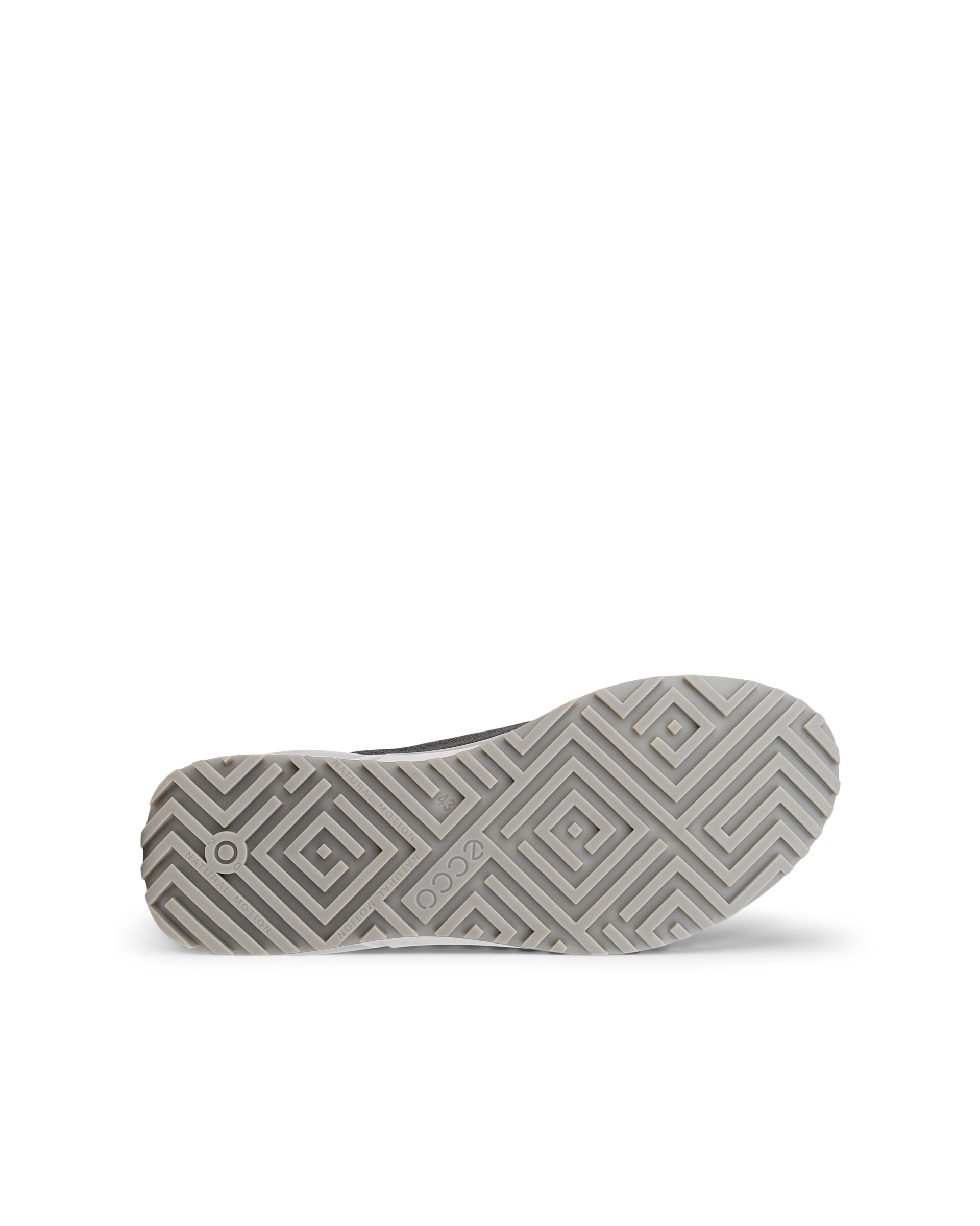 ECCO Biom 2.0 — Brown
