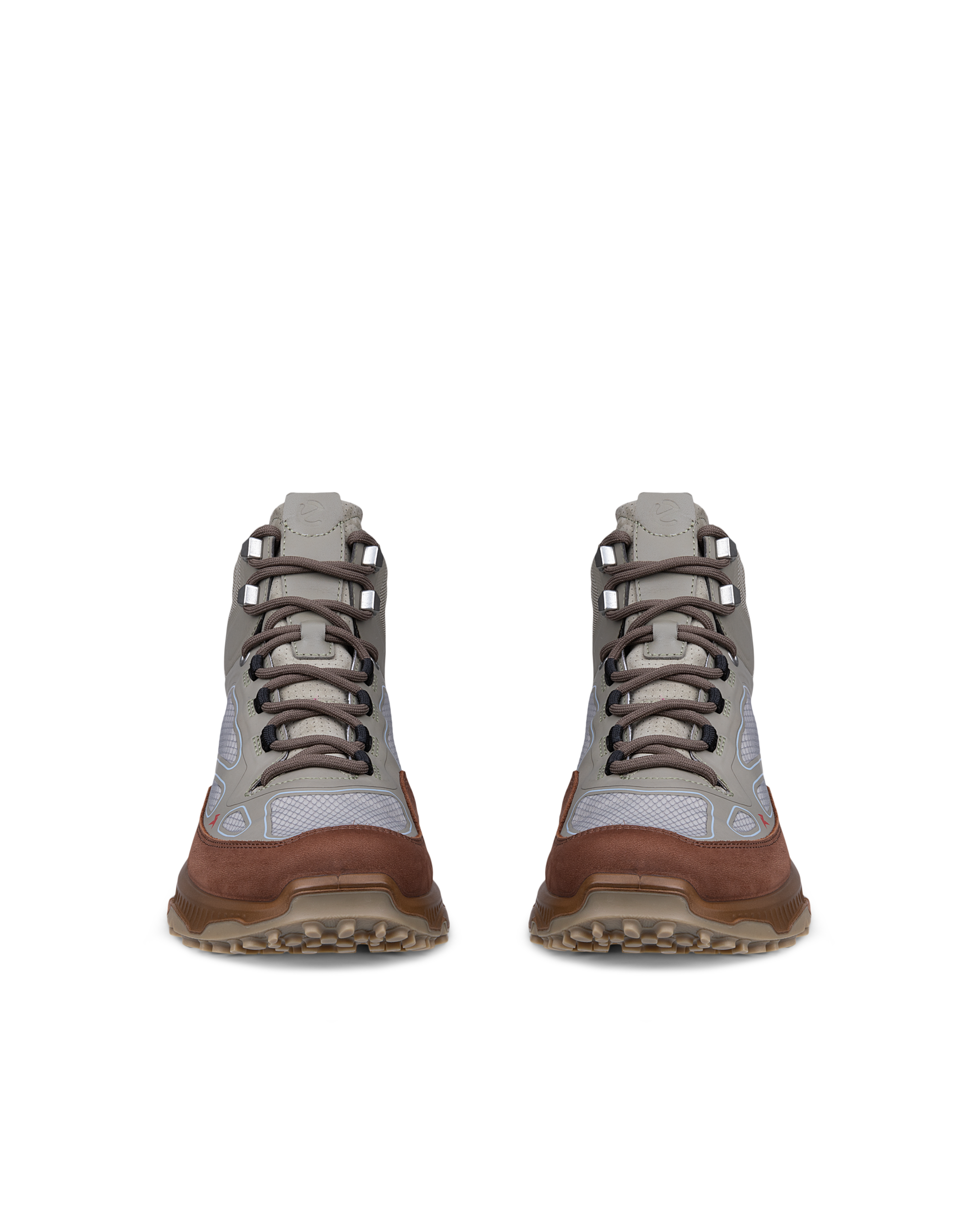 ECCO Receptor Xp — Green